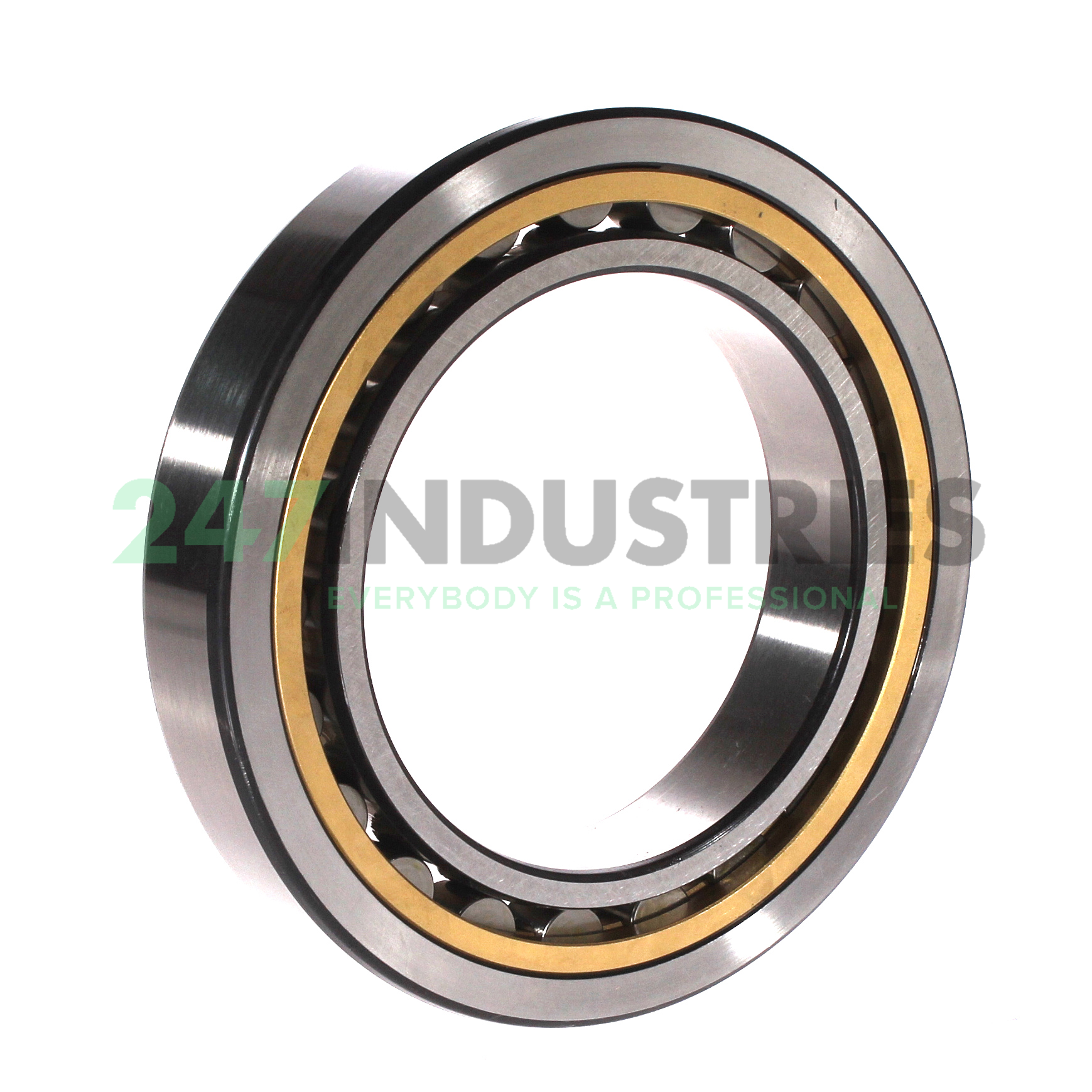 NU1018ML SKF Image 2