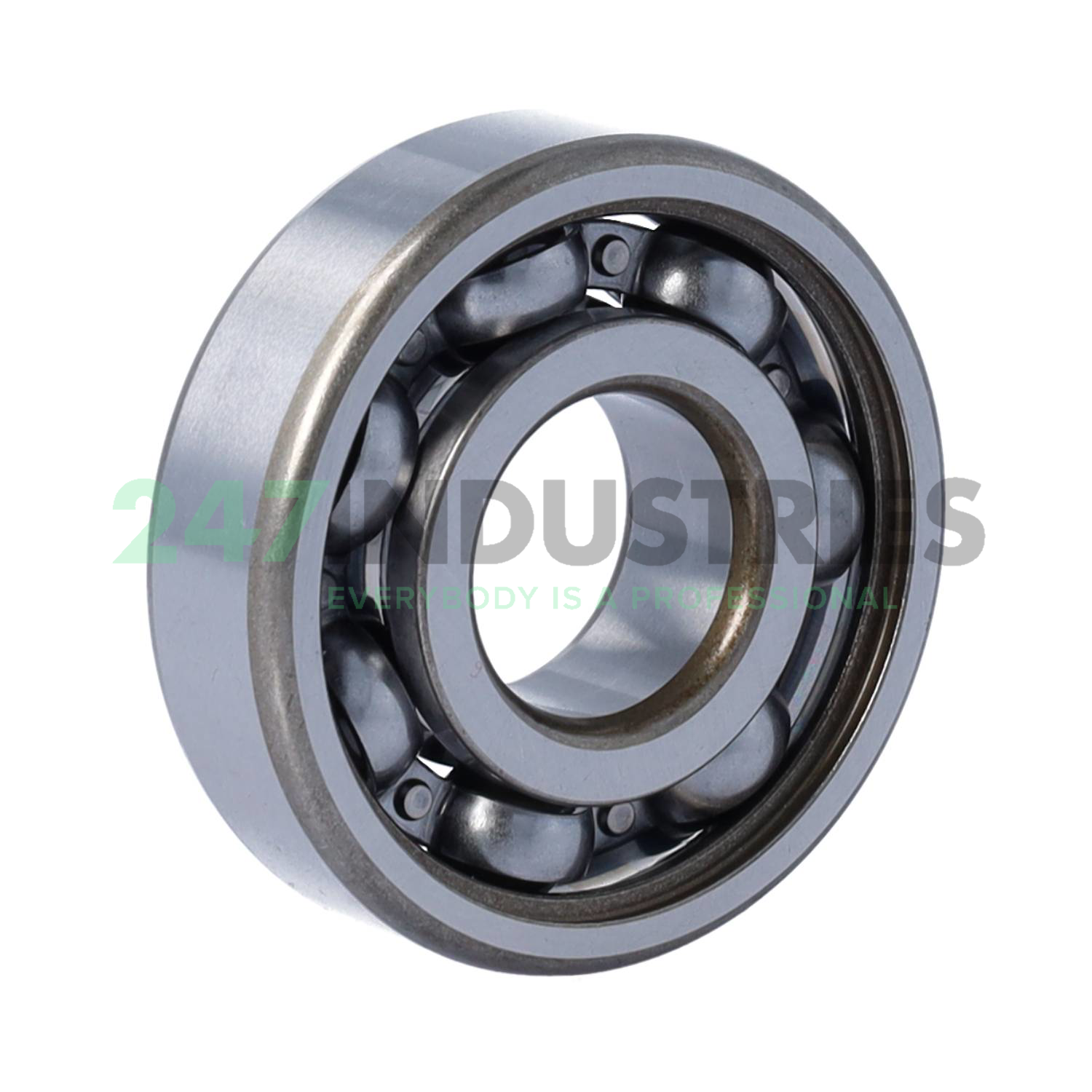 HC6304-C3 FAG Image 2