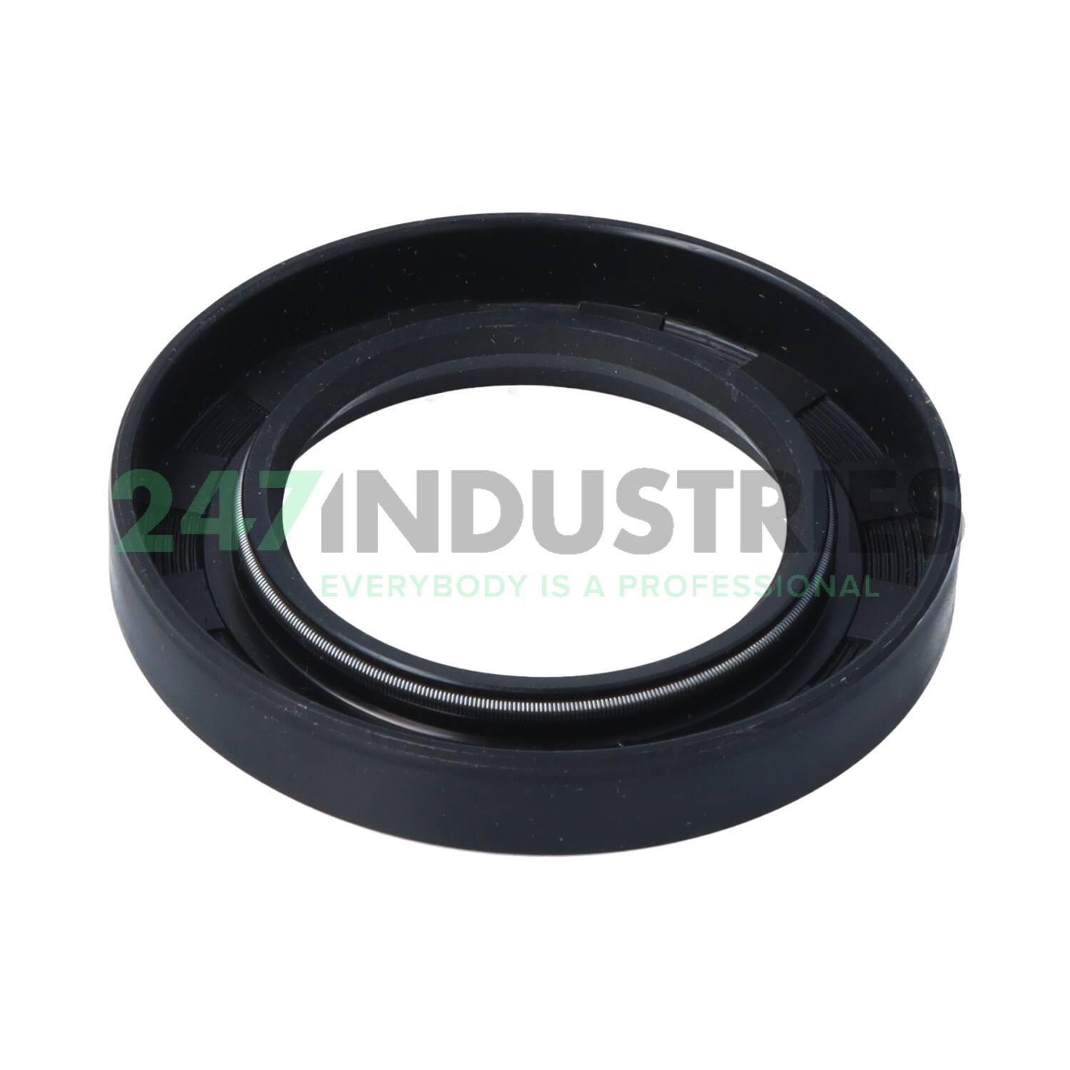 SC40X65X10-VITON Neutral Image 2