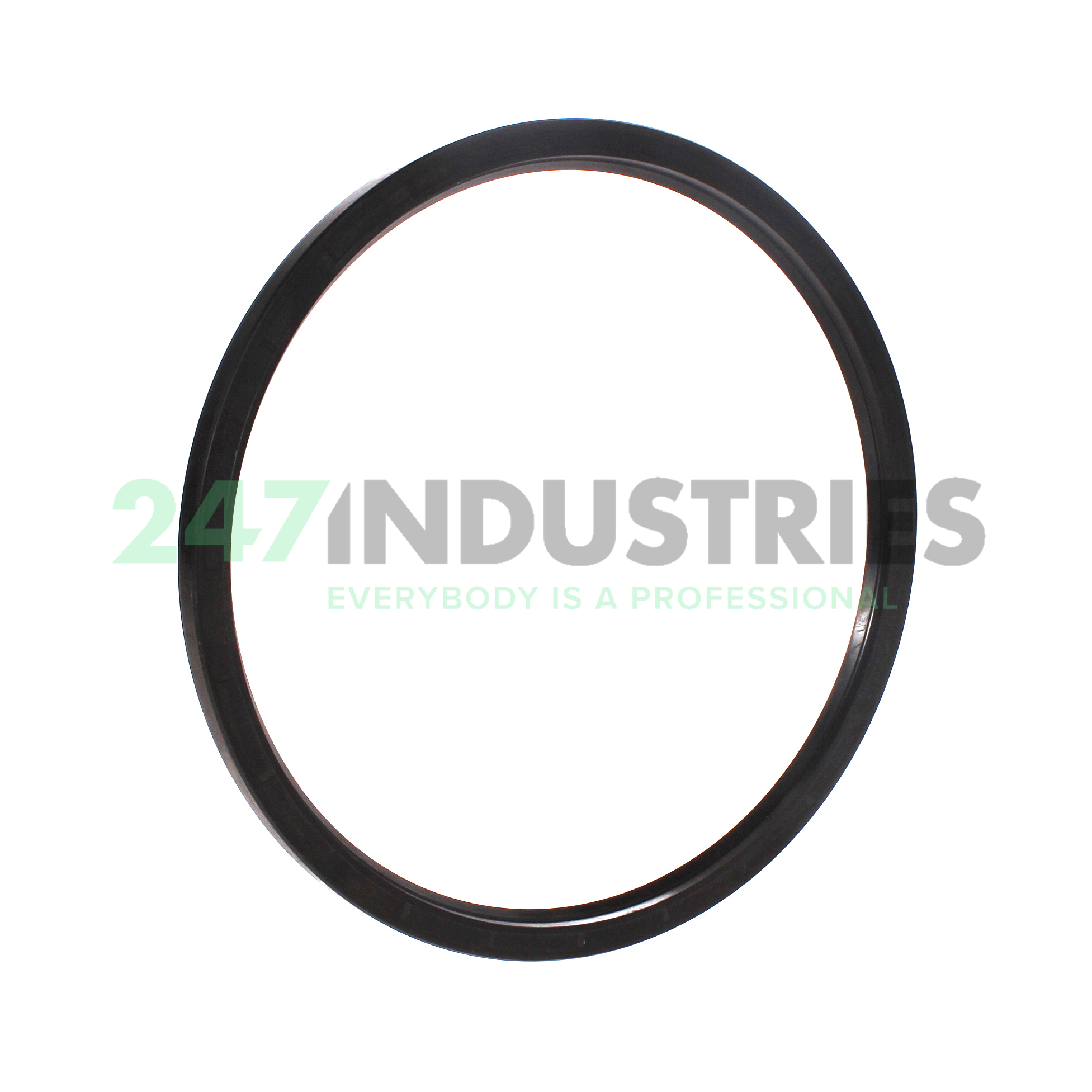 SC180X200X10 NAK Sealing Technologies