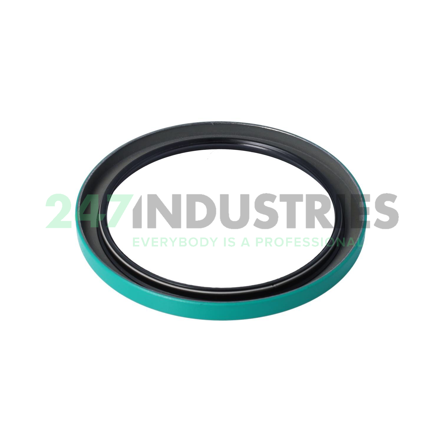 CR51248 SKF Image 2