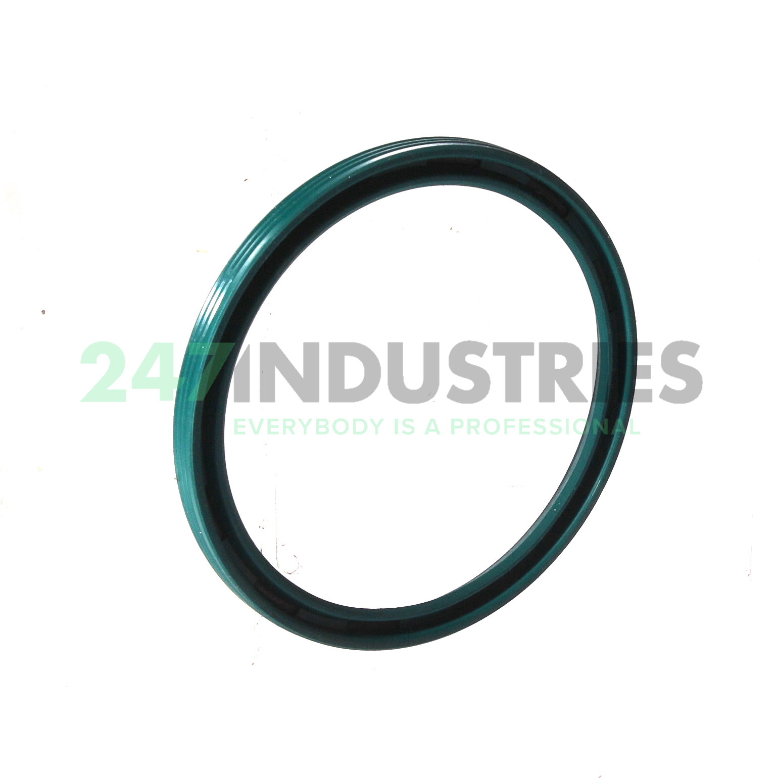 45X52X4 NAK Sealing Technologies Image 2