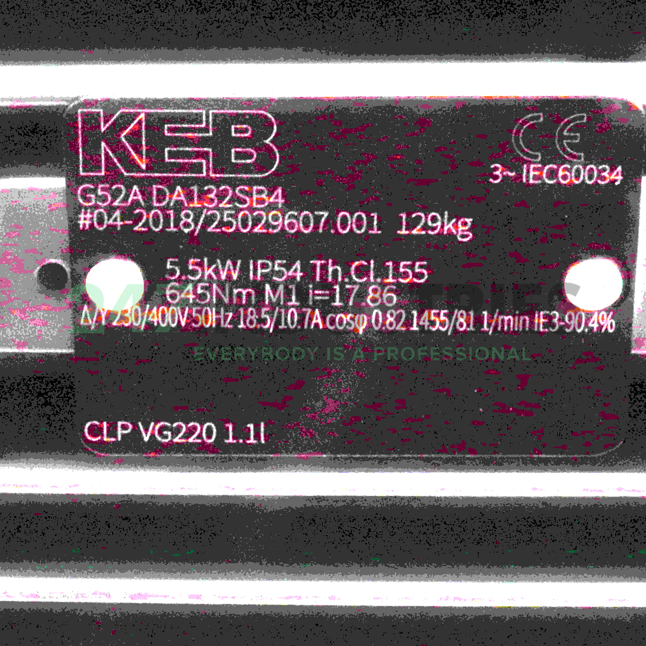 G52ADA132SB4 WEG Image 4