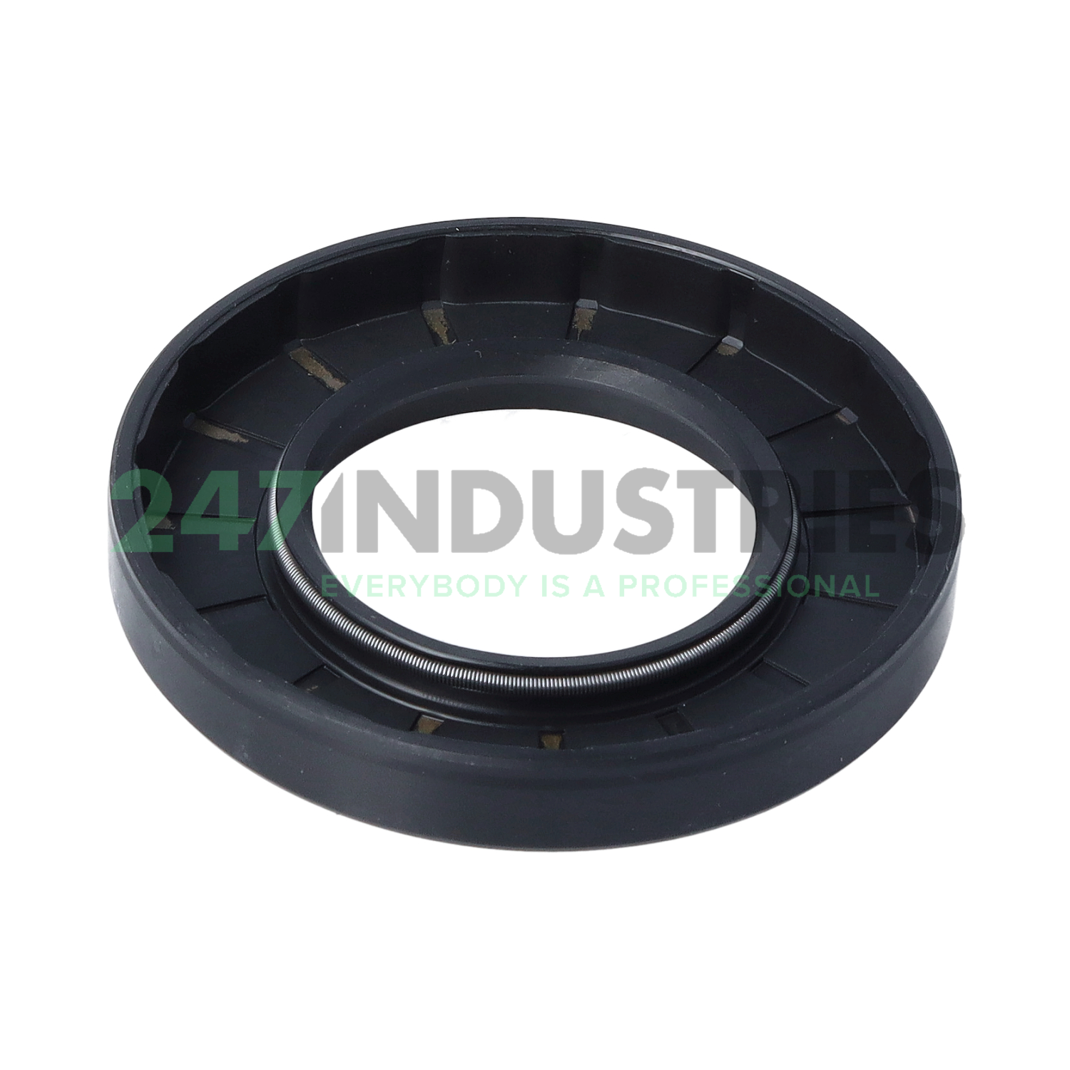 SC38X70X10 NAK Sealing Technologies Image 2