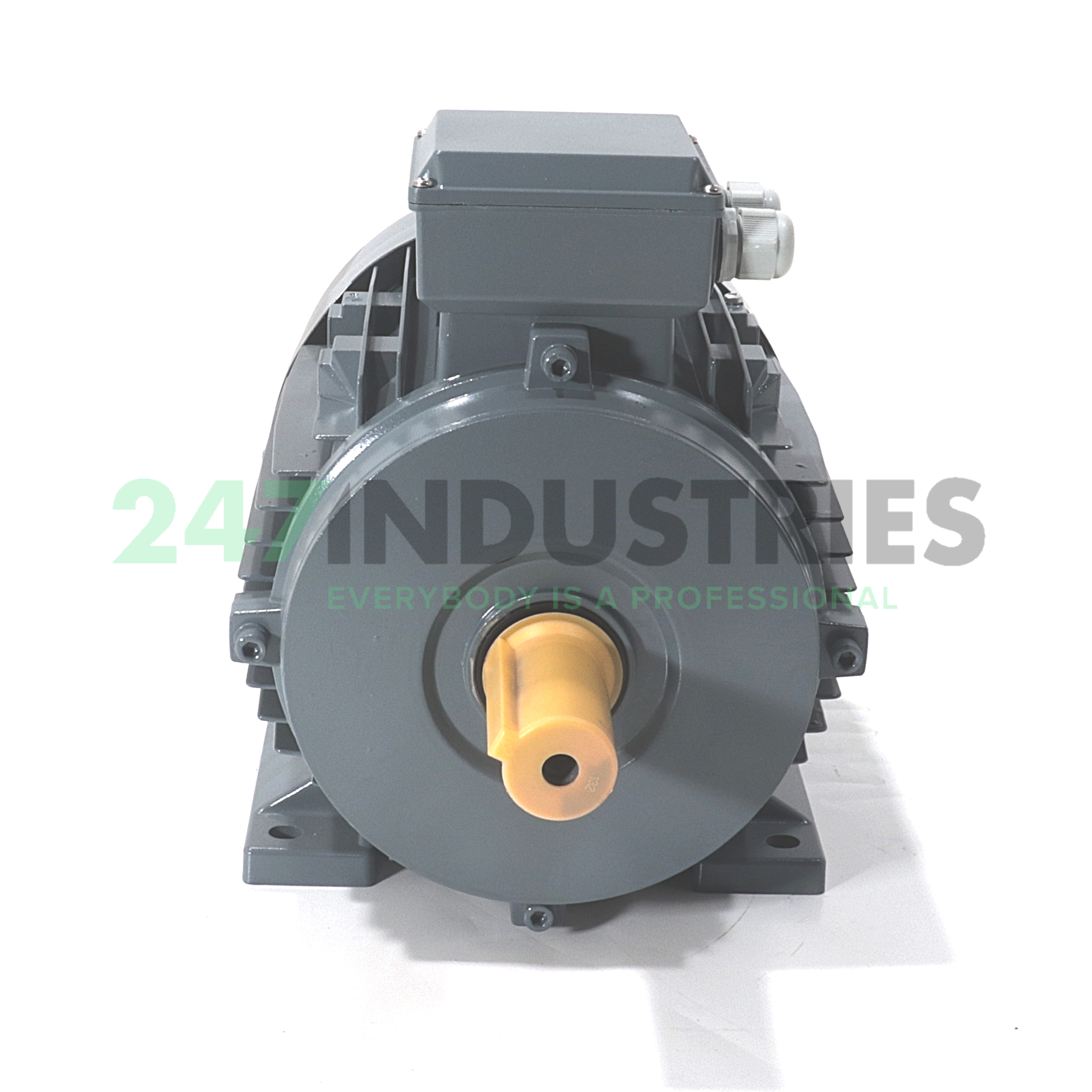 MS132S-4-B3 Felsen Image 2