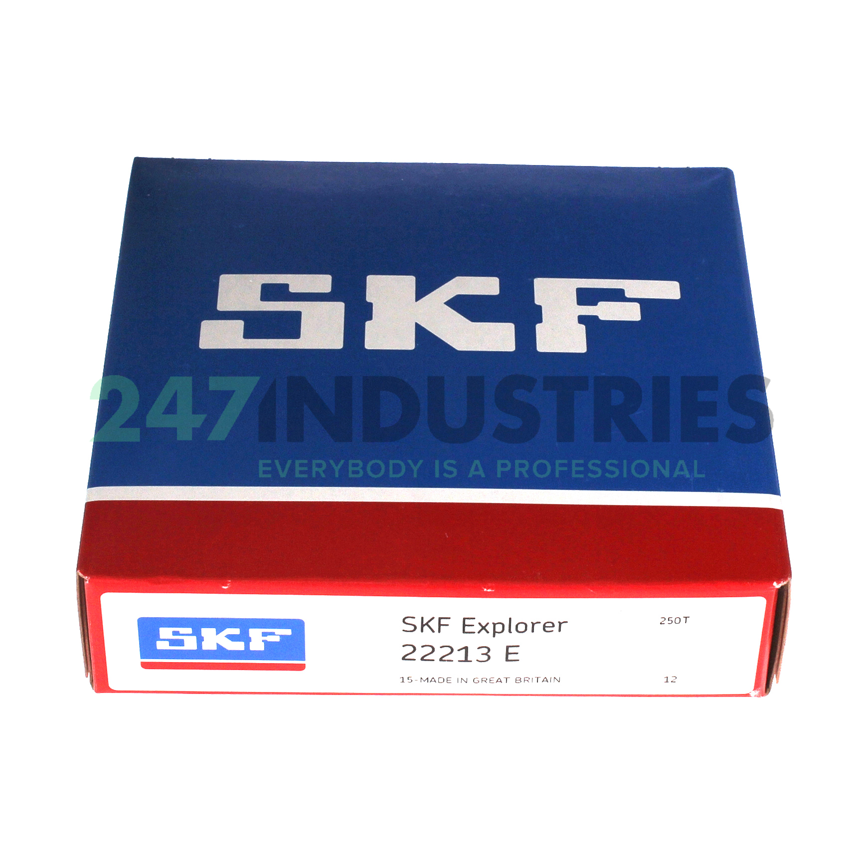 22213E SKF Image 5