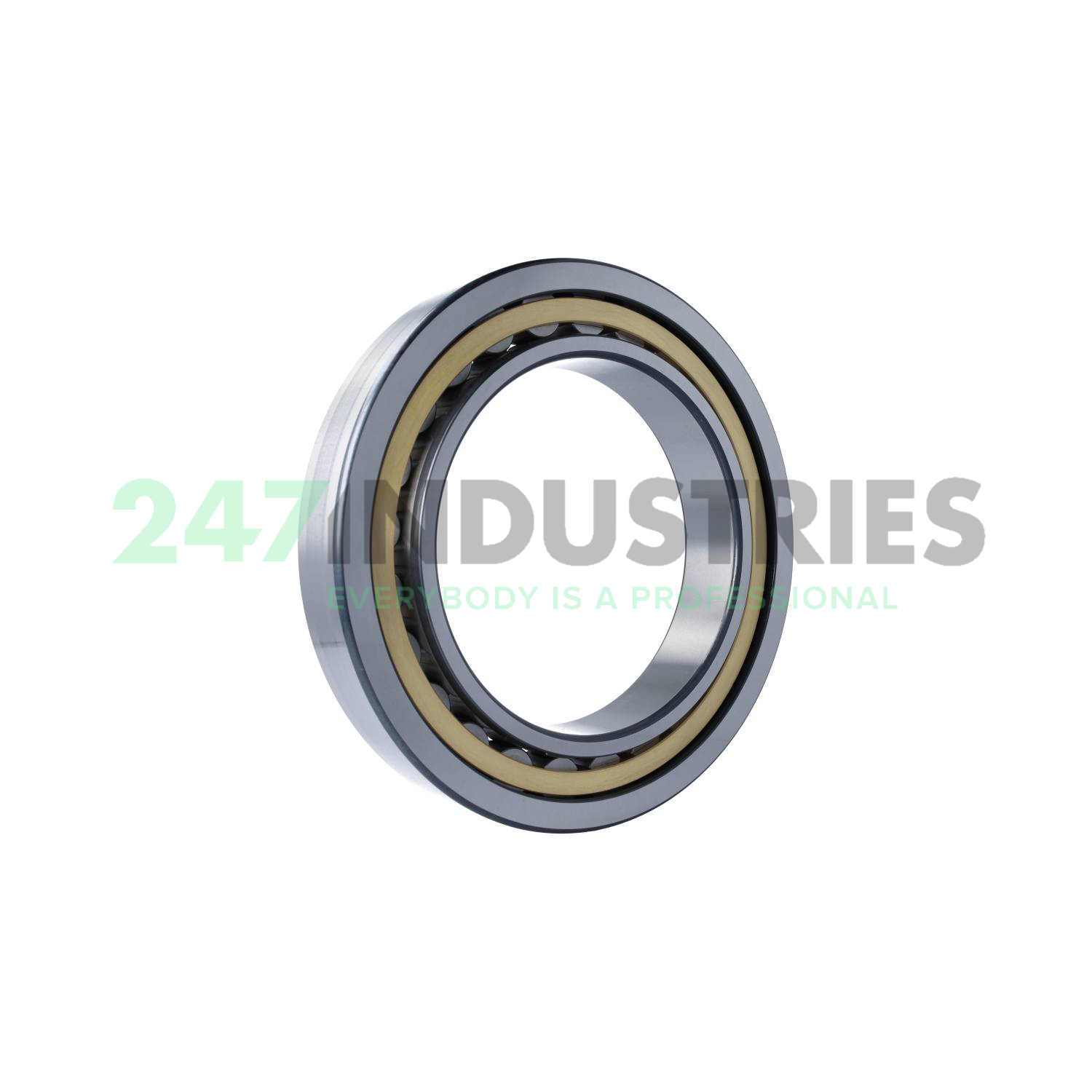 NU1038-XL-M1-C3 FAG Image 2