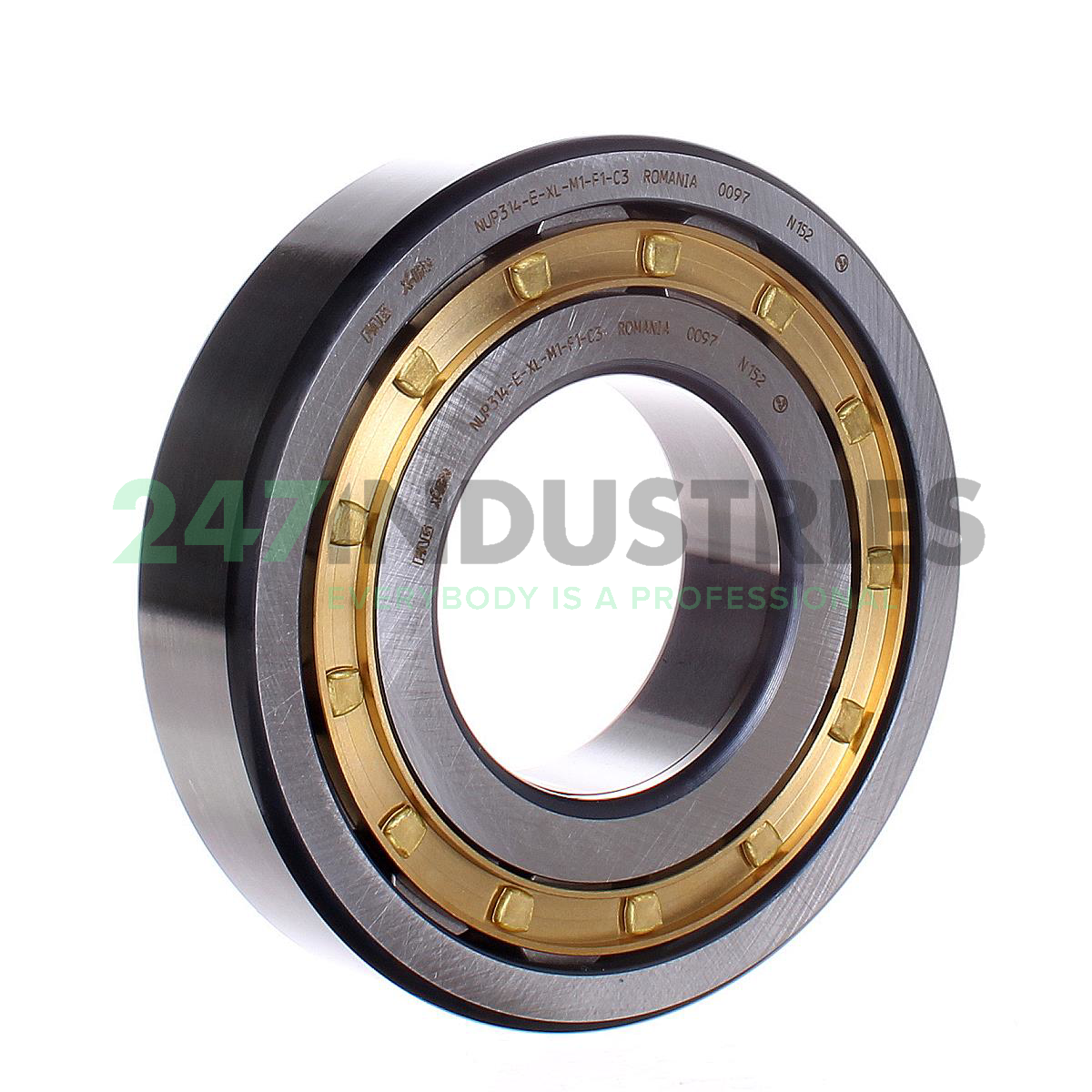 NUP314-E-XL-M1-F1-C3 FAG