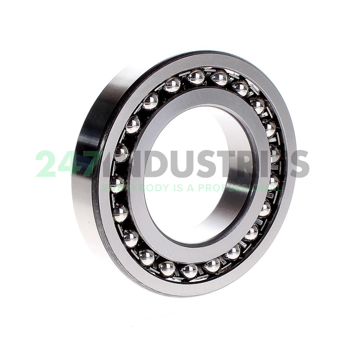1213 SKF Image 2