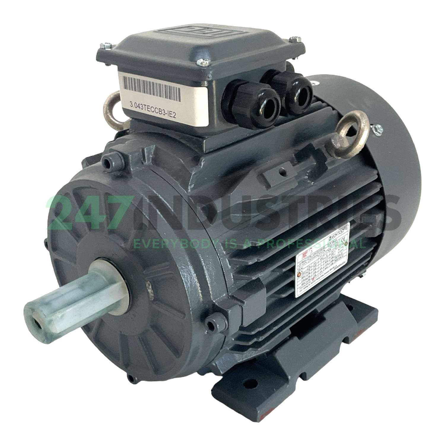 T2CR100L2-4-B3 TechTop Motor