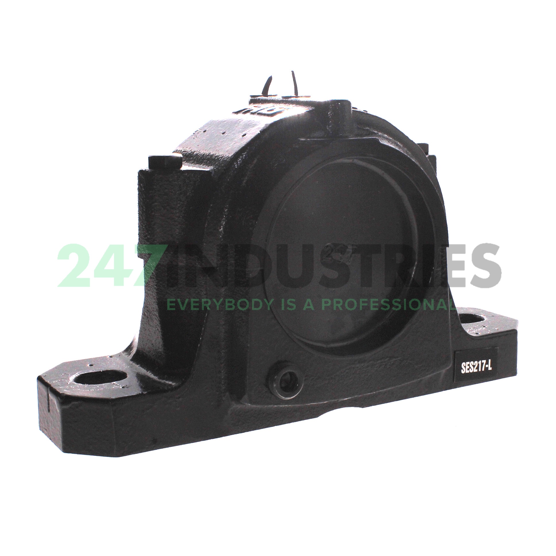 SES217-L FAG Image 2