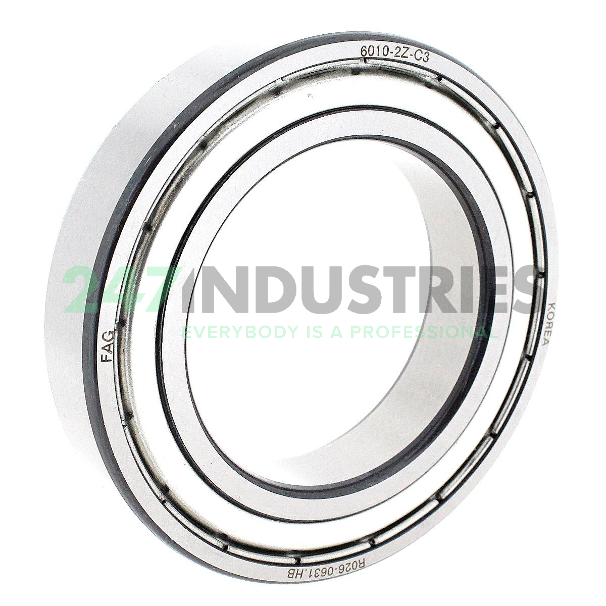 6010-2Z-C3 FAG