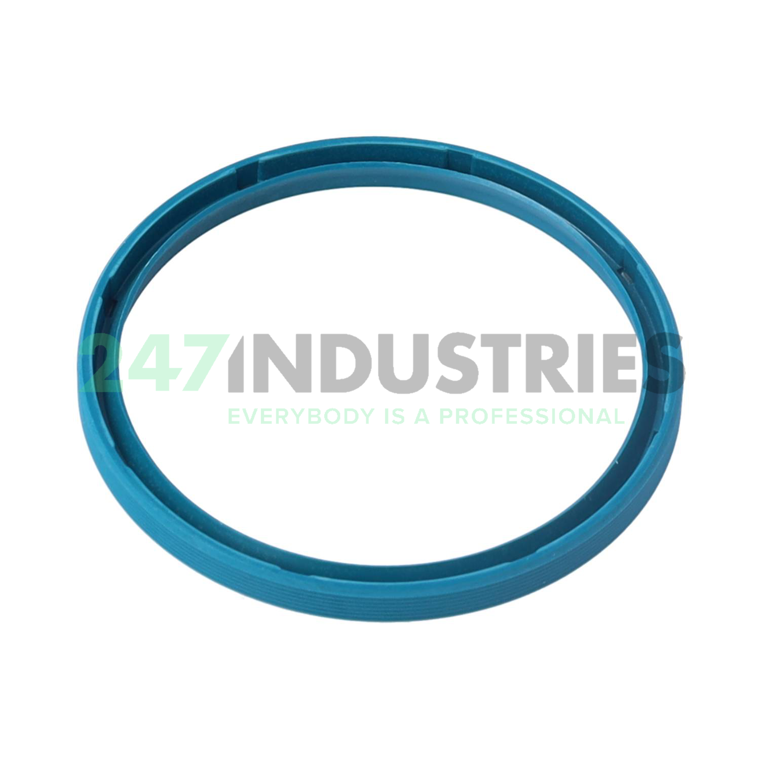 G55X63X5-B INA Image 2