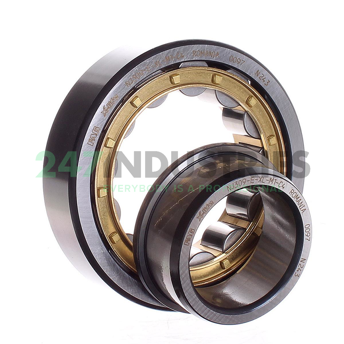 NJ309-E-XL-M1-C4 FAG Image 2