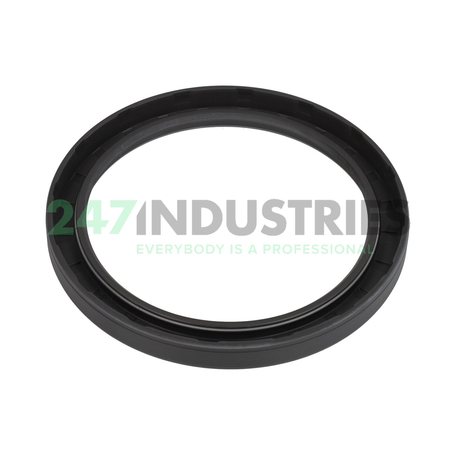 CR100X125X12HMS5RG SKF Image 2