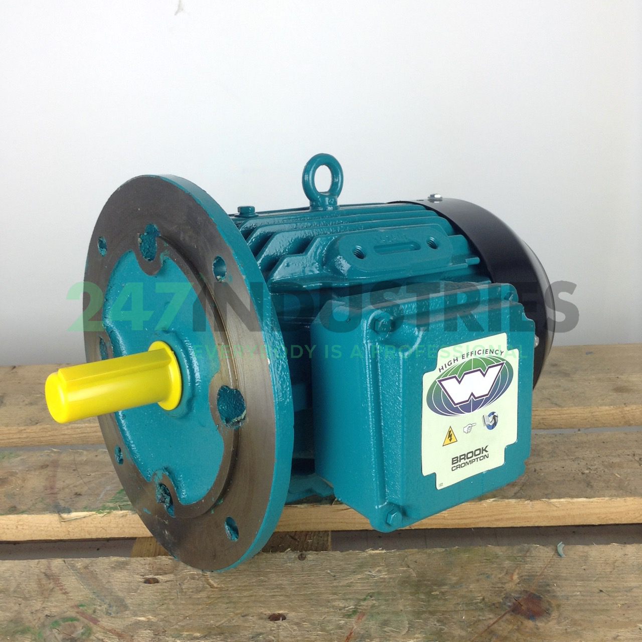 W-DF100LJ-D-B5 Brook Crompton