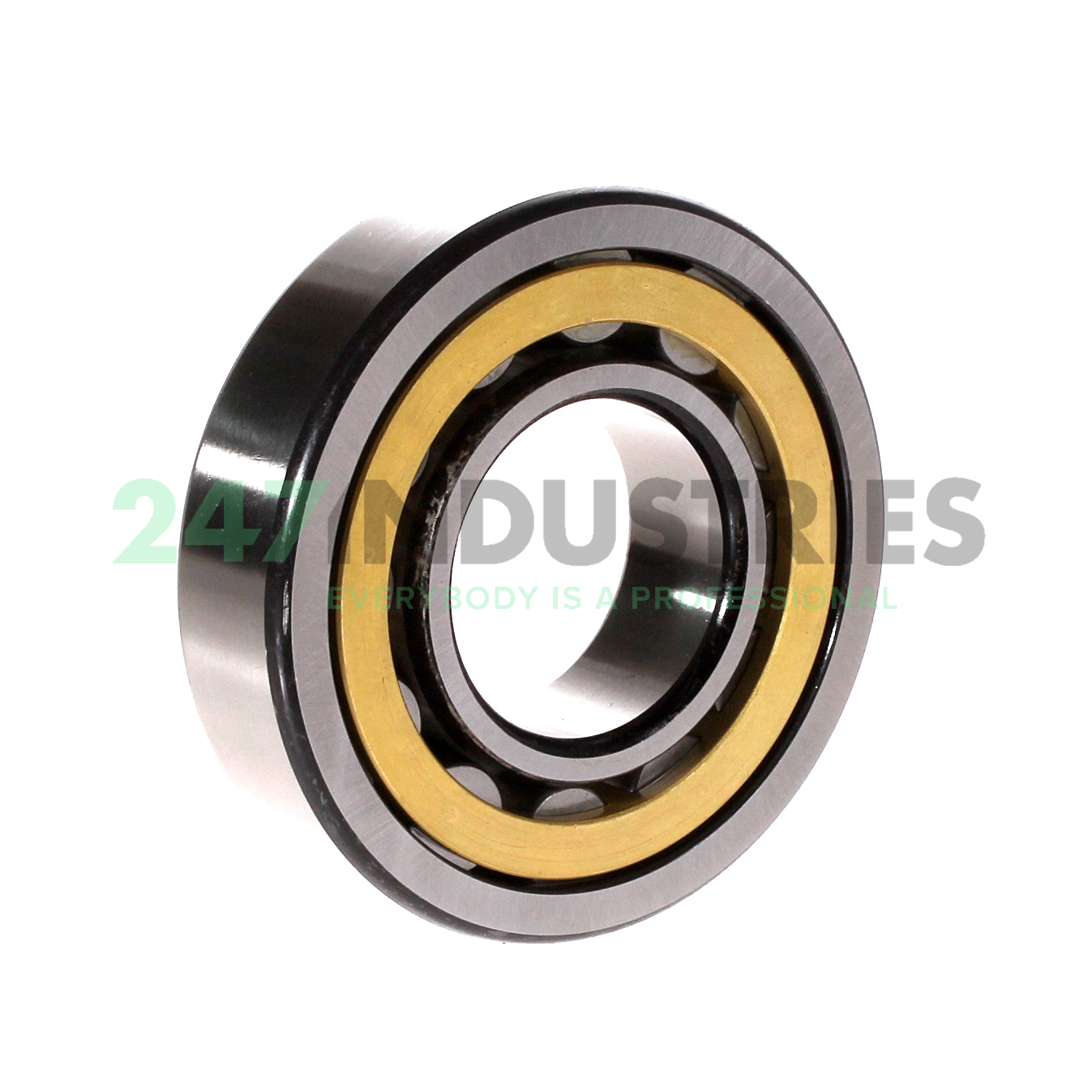 NU308E.M1.C3 FAG Image 2