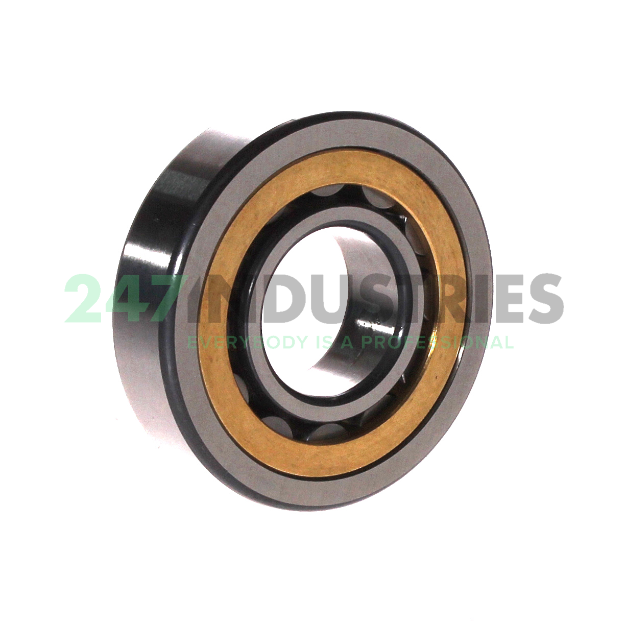 NU306-E-XL-M1A-C3 FAG Image 2