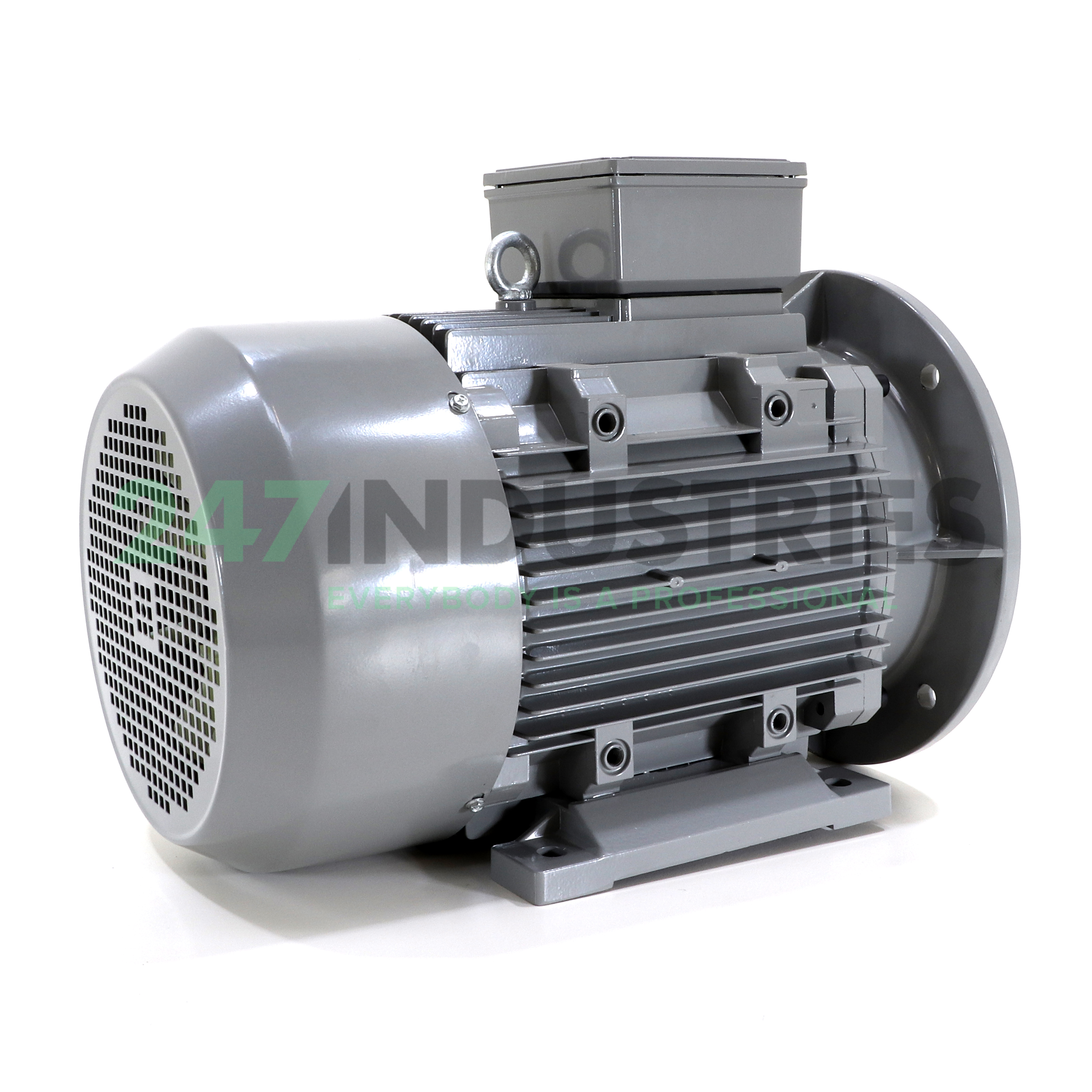 3F3A-160MB-2B35 Felstrom Image 4