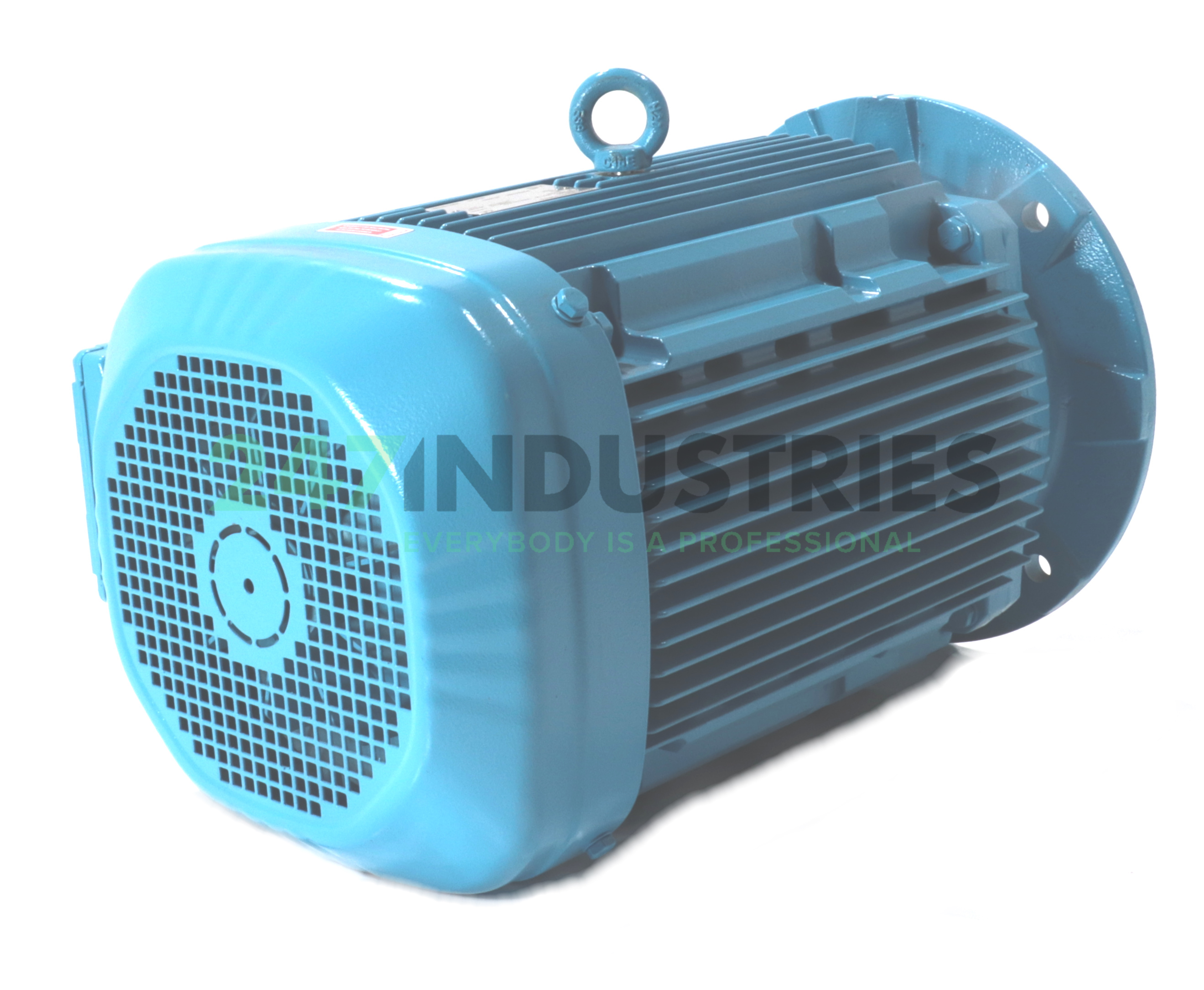DRN160M4/FF-B5 SEW-EURODRIVE Image 3