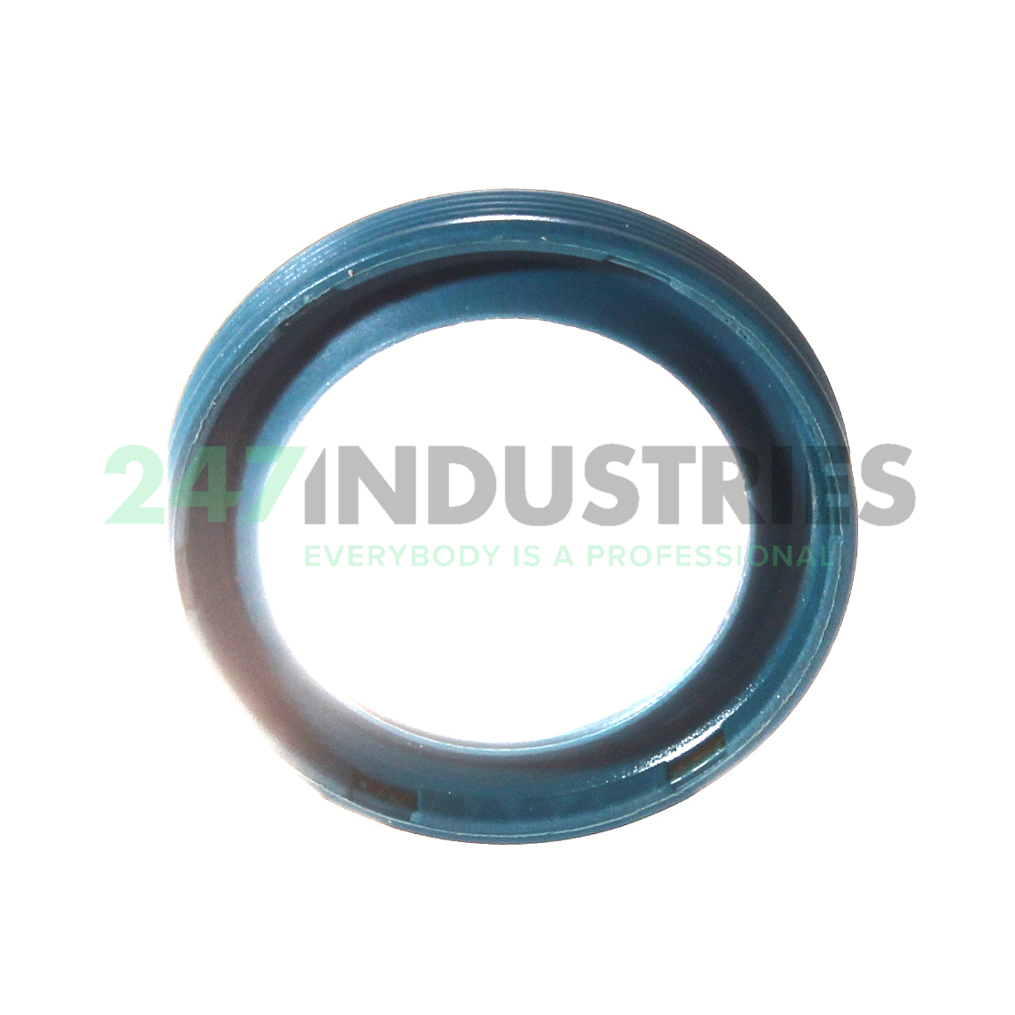 G19X27X4 INA Image 2