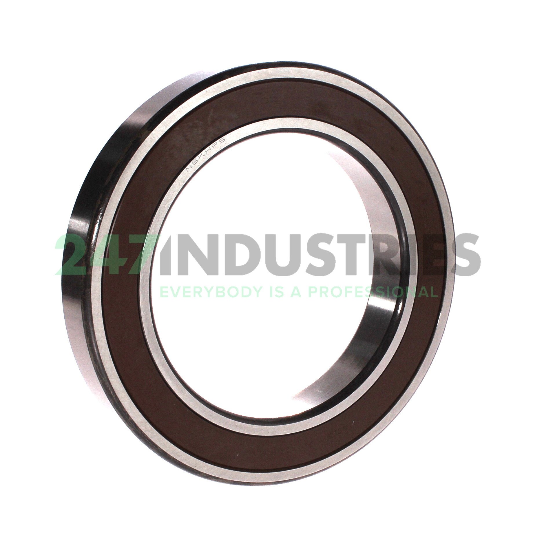 6024DDUCM NSK Image 1