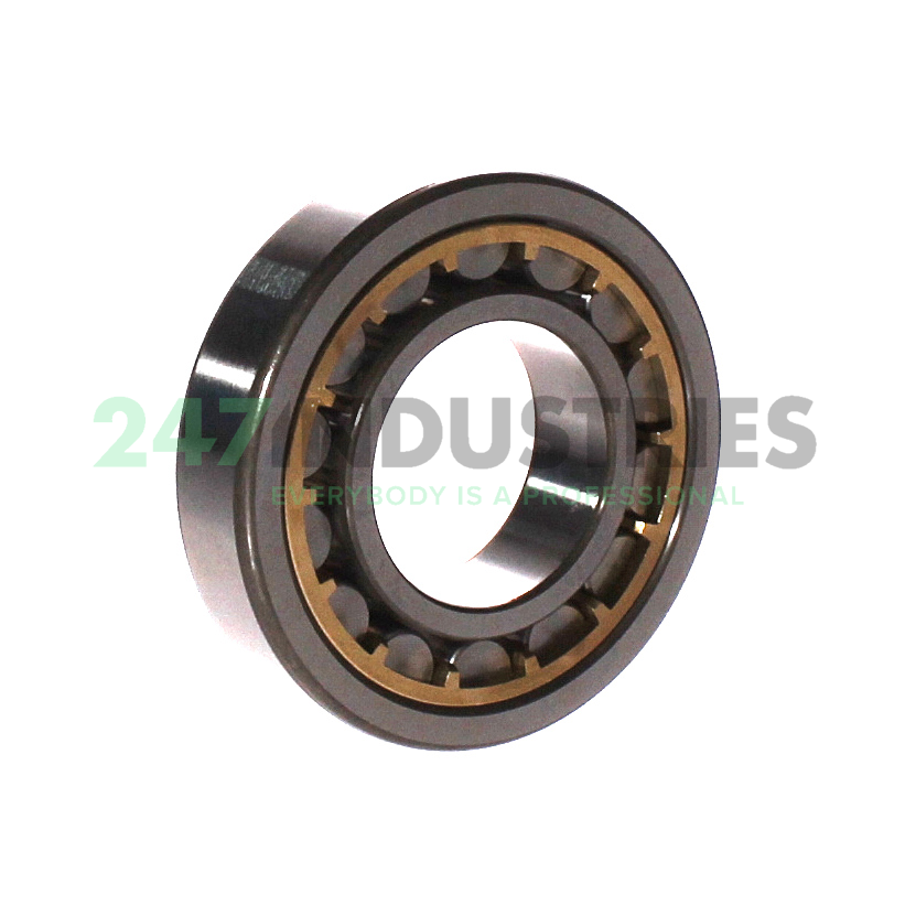 NU207E G1 NTN Image 2