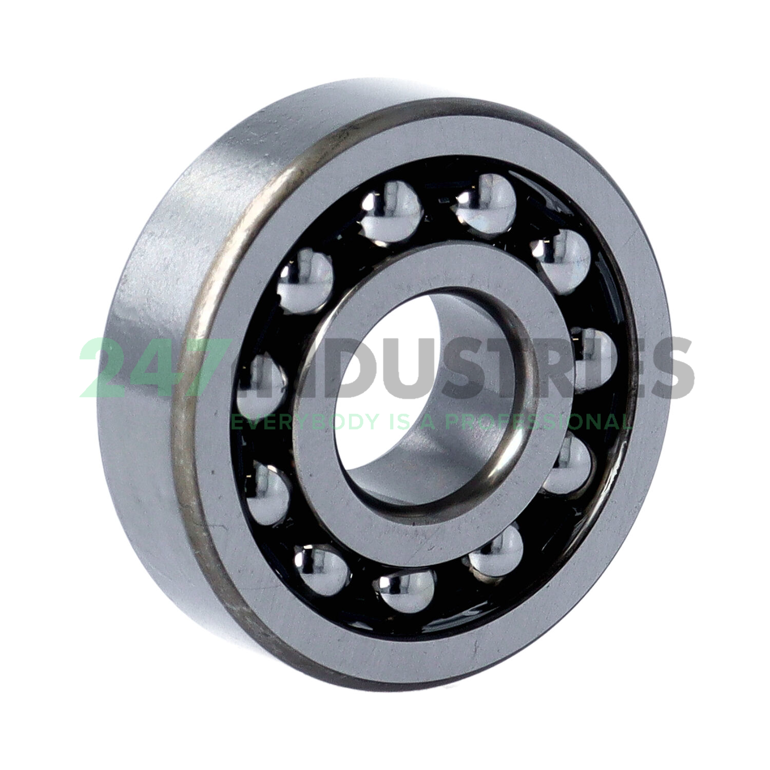 1303 NSK Image 2