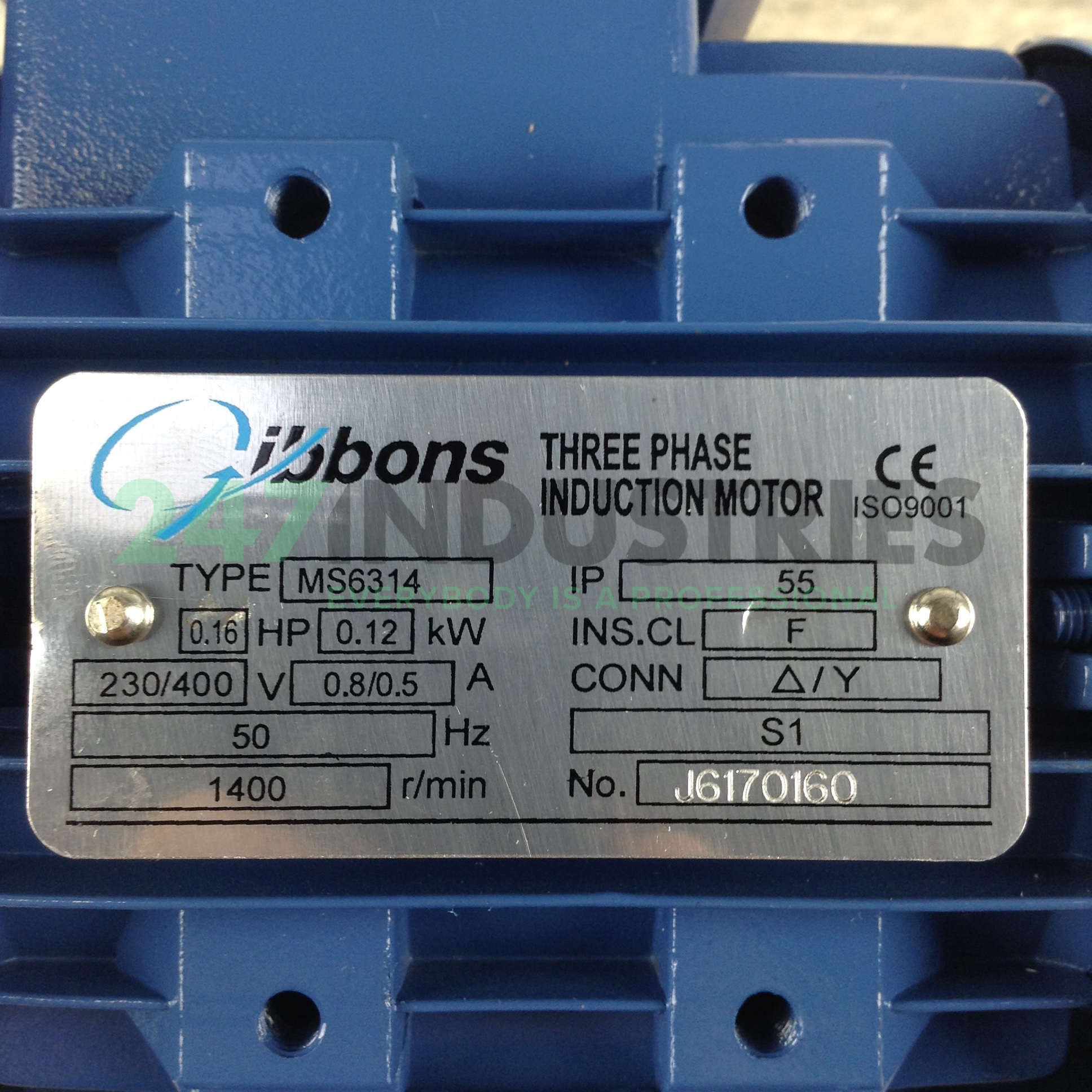 MS6314B35 Gibbons Image 2