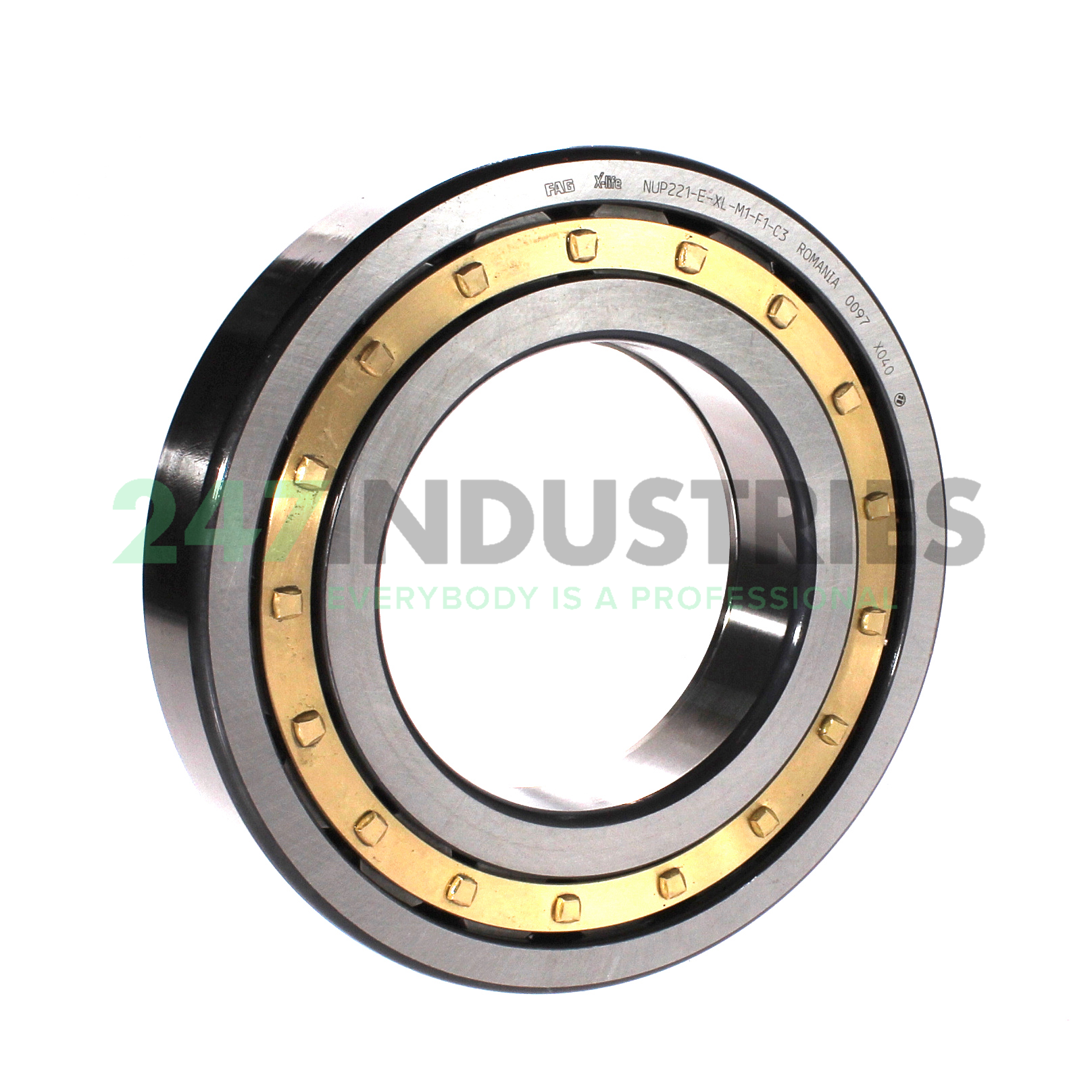 NUP221-E-XL-M1-F1-C3 FAG