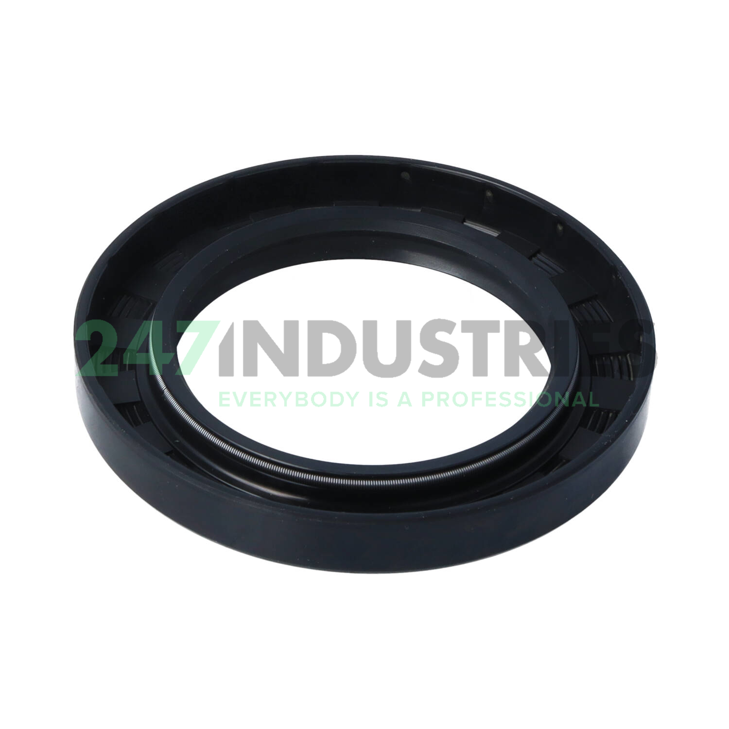 TC70X105X13 SOG Image 2