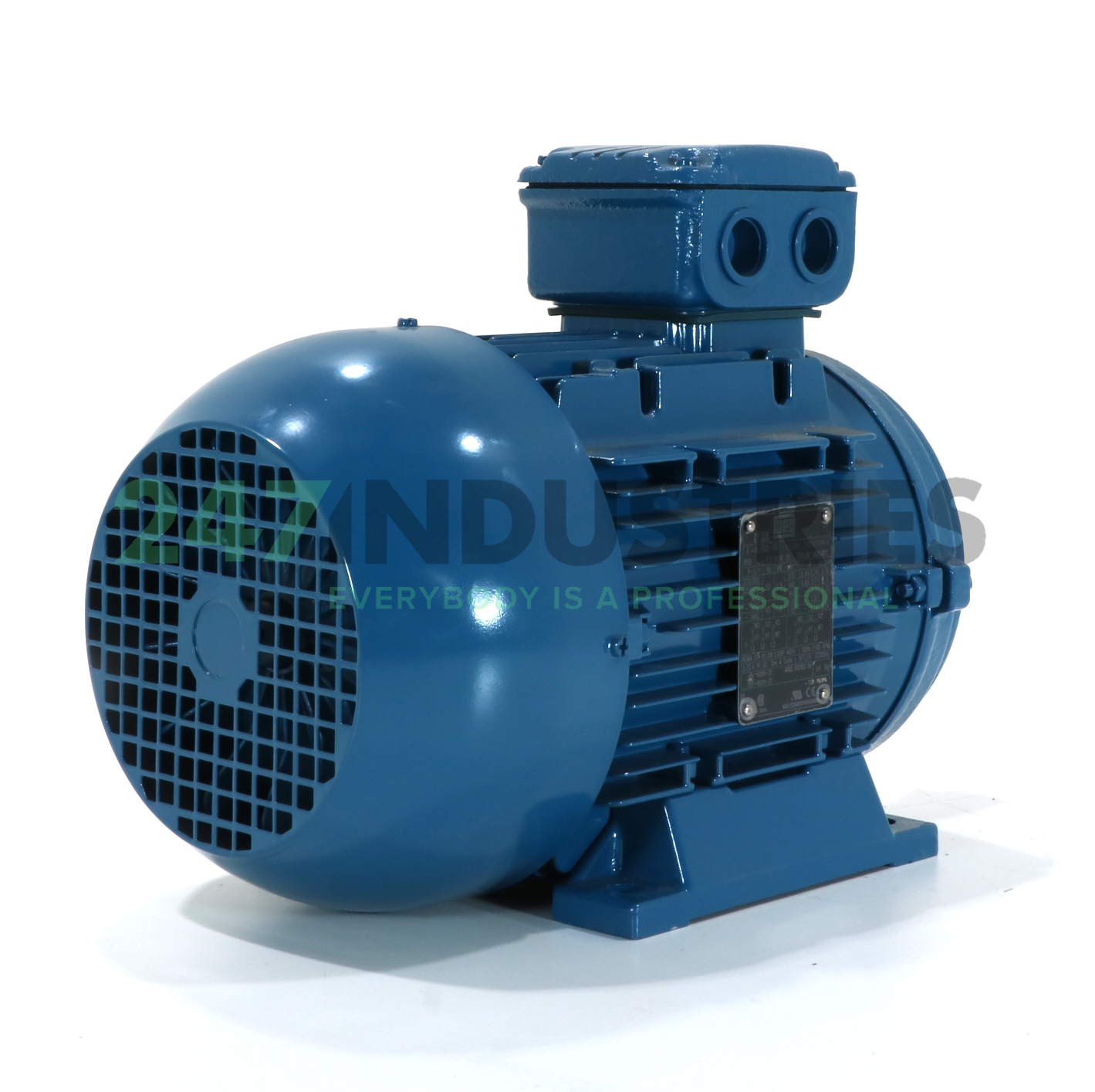 1.5K31AL2100L6B3 WEG Image 3