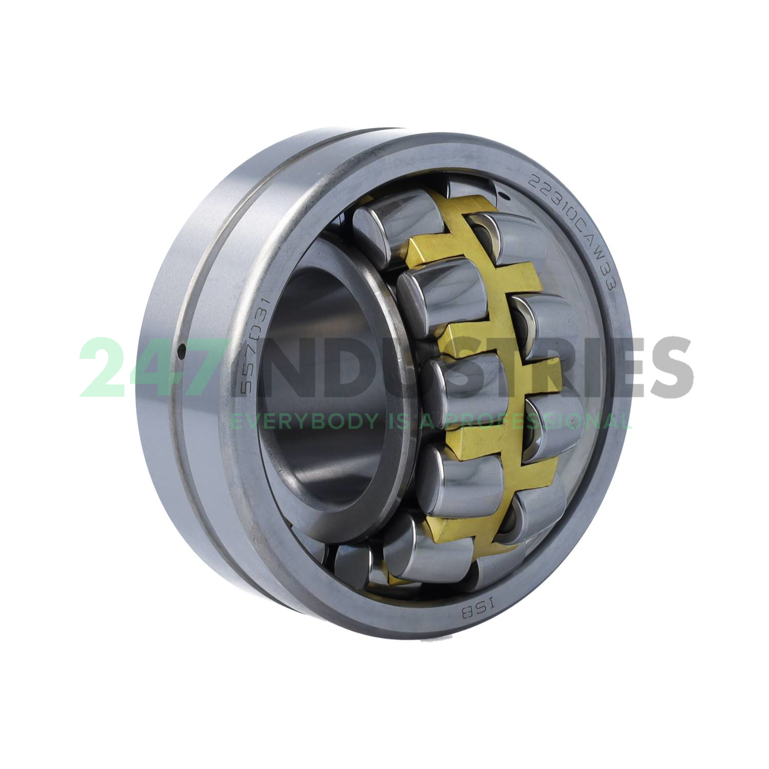 22310CA W33 ISB Image 4