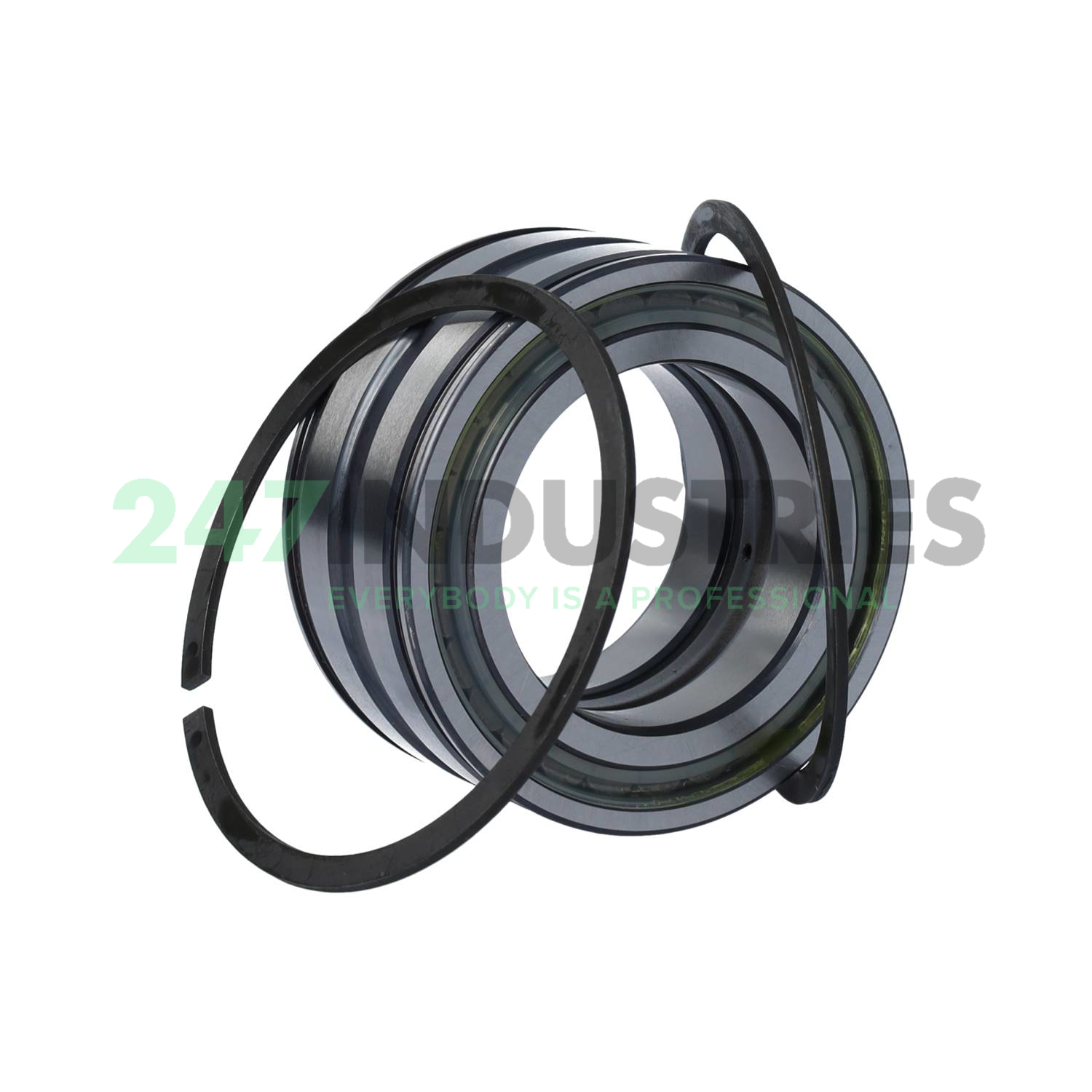 SL045010-PP-2NR-C3-L091 INA Image 3