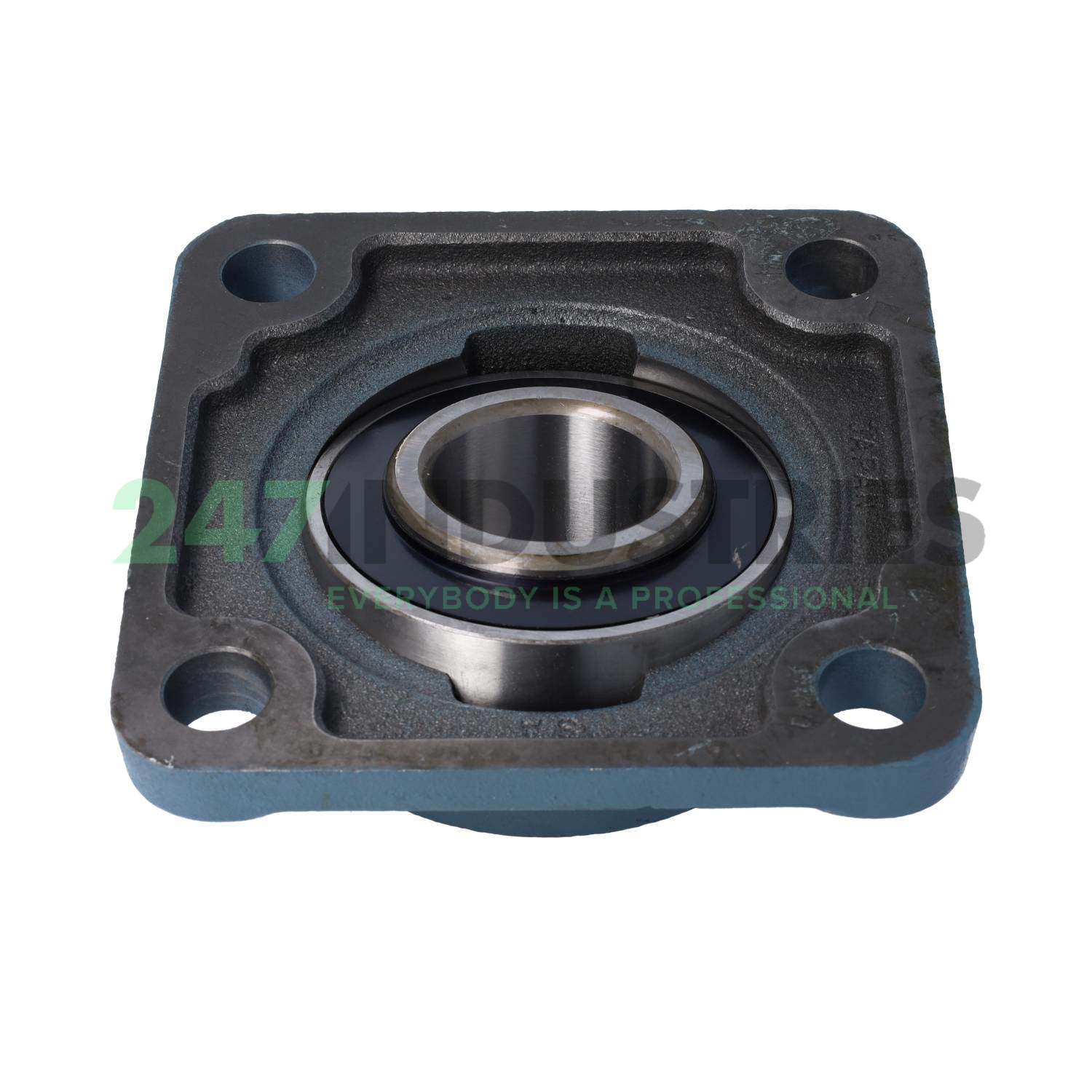 UCF311 Asahi Image 2