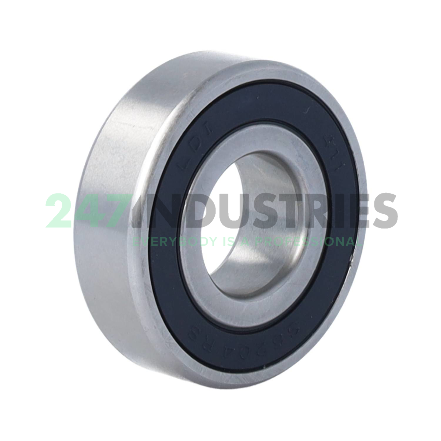 S6204 2RS LDI Image 2