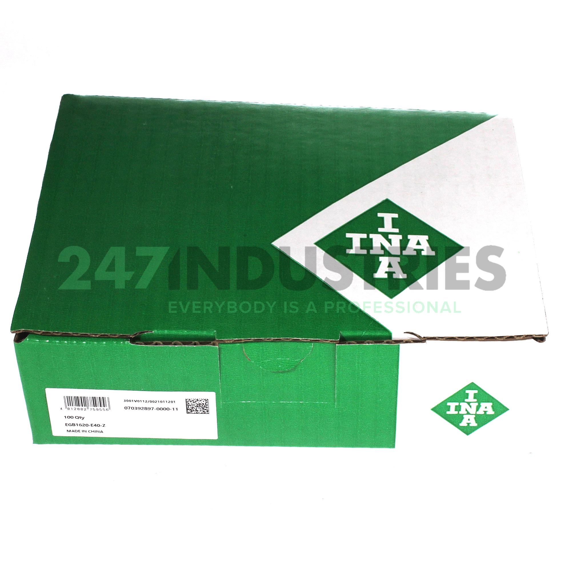 EGB1620-E40-Z INA Image 2