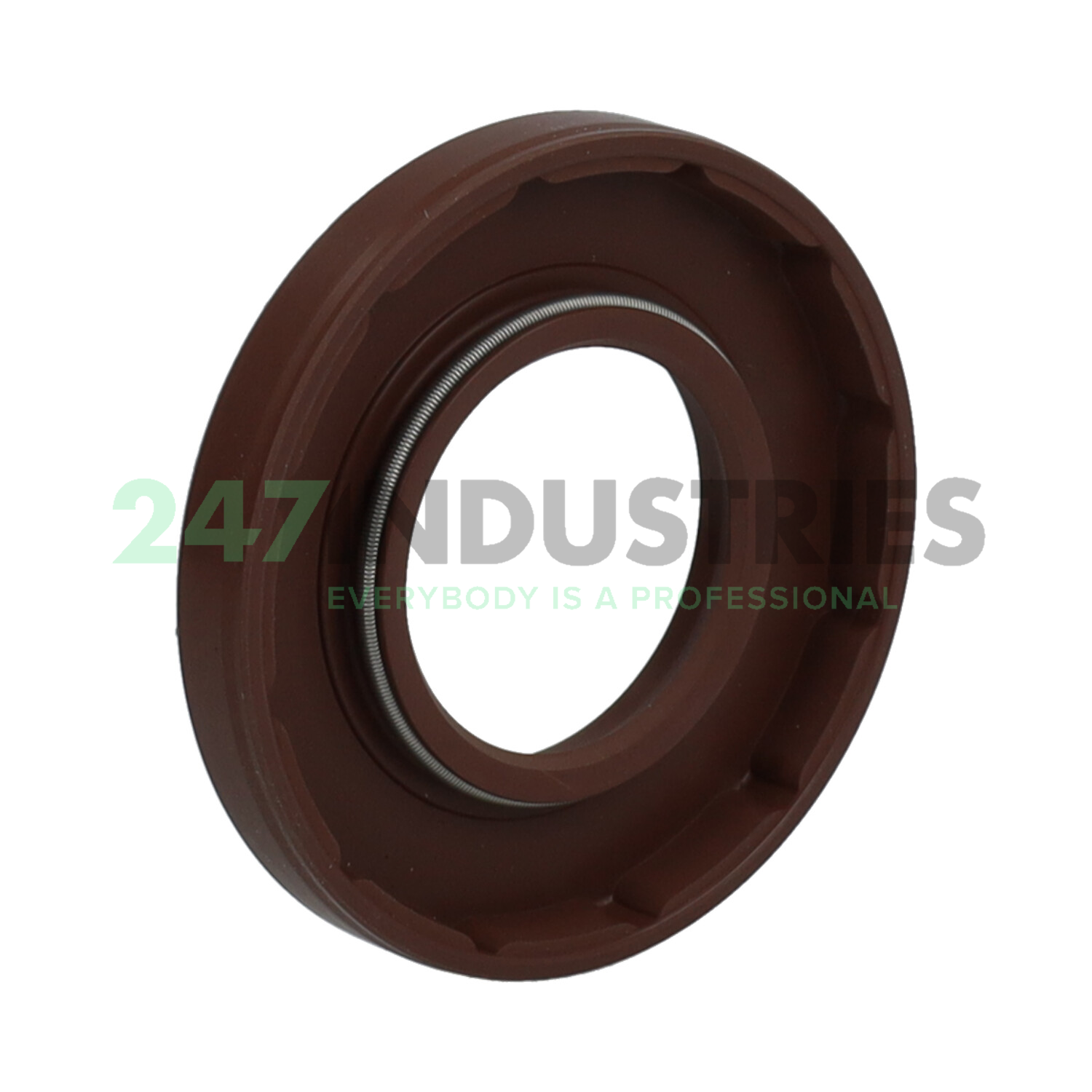 SF25X50X7 NAK Sealing Technologies Image 2