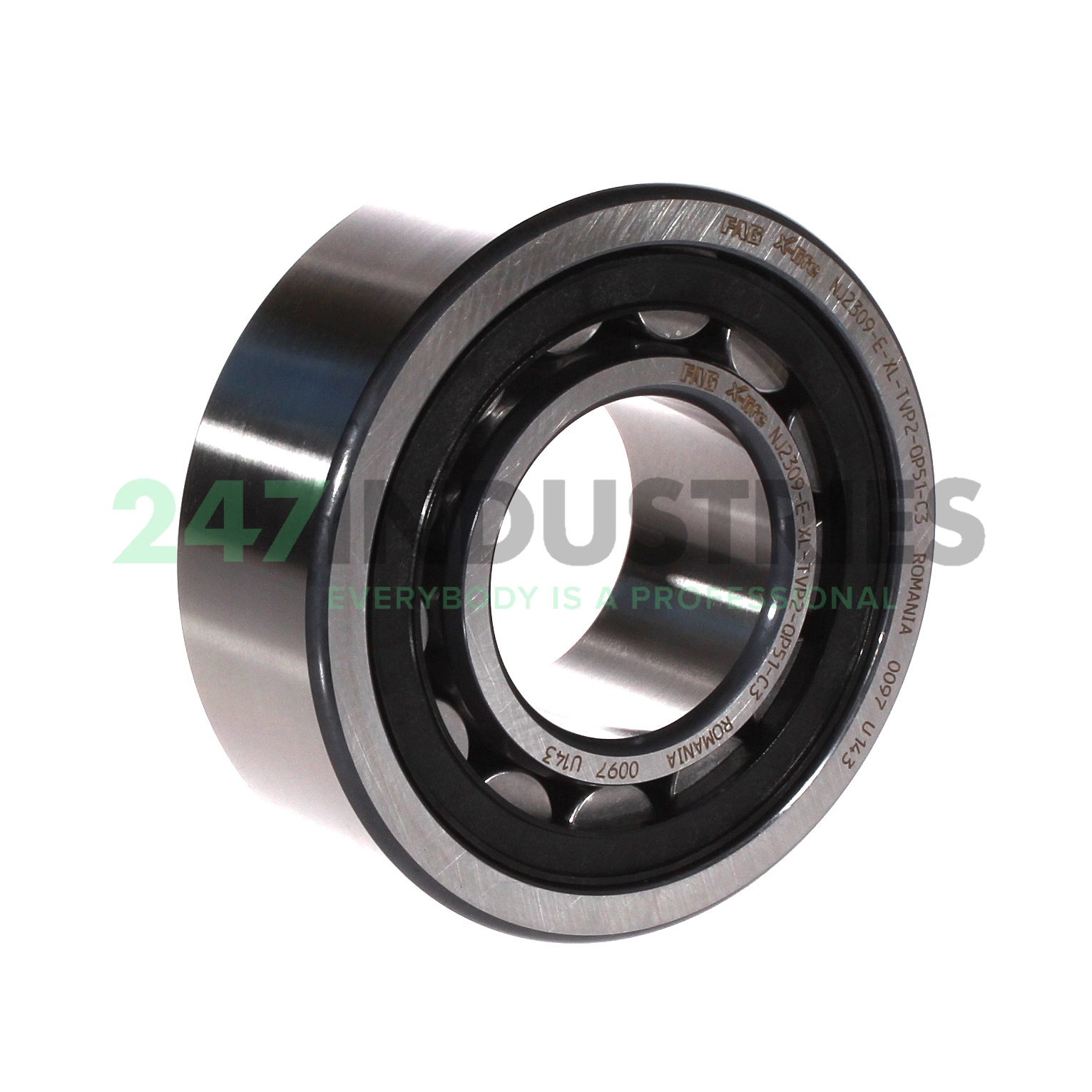 NJ2309-E-XL-TVP2-QP51-C3 FAG