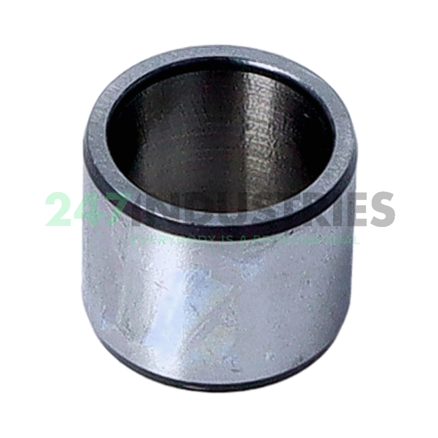 IR15X19X16-XL INA