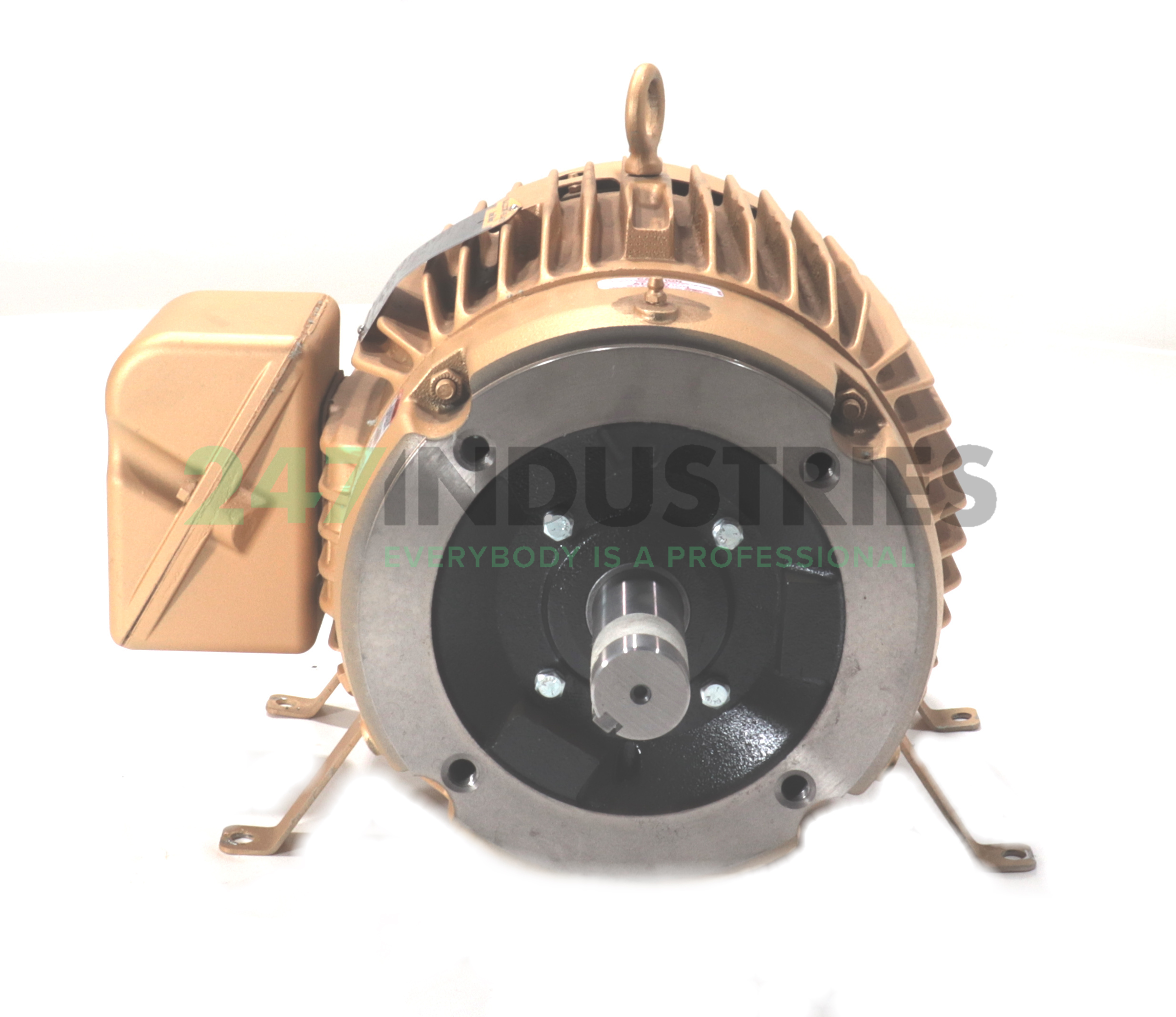 VEM3774T Baldor Image 2