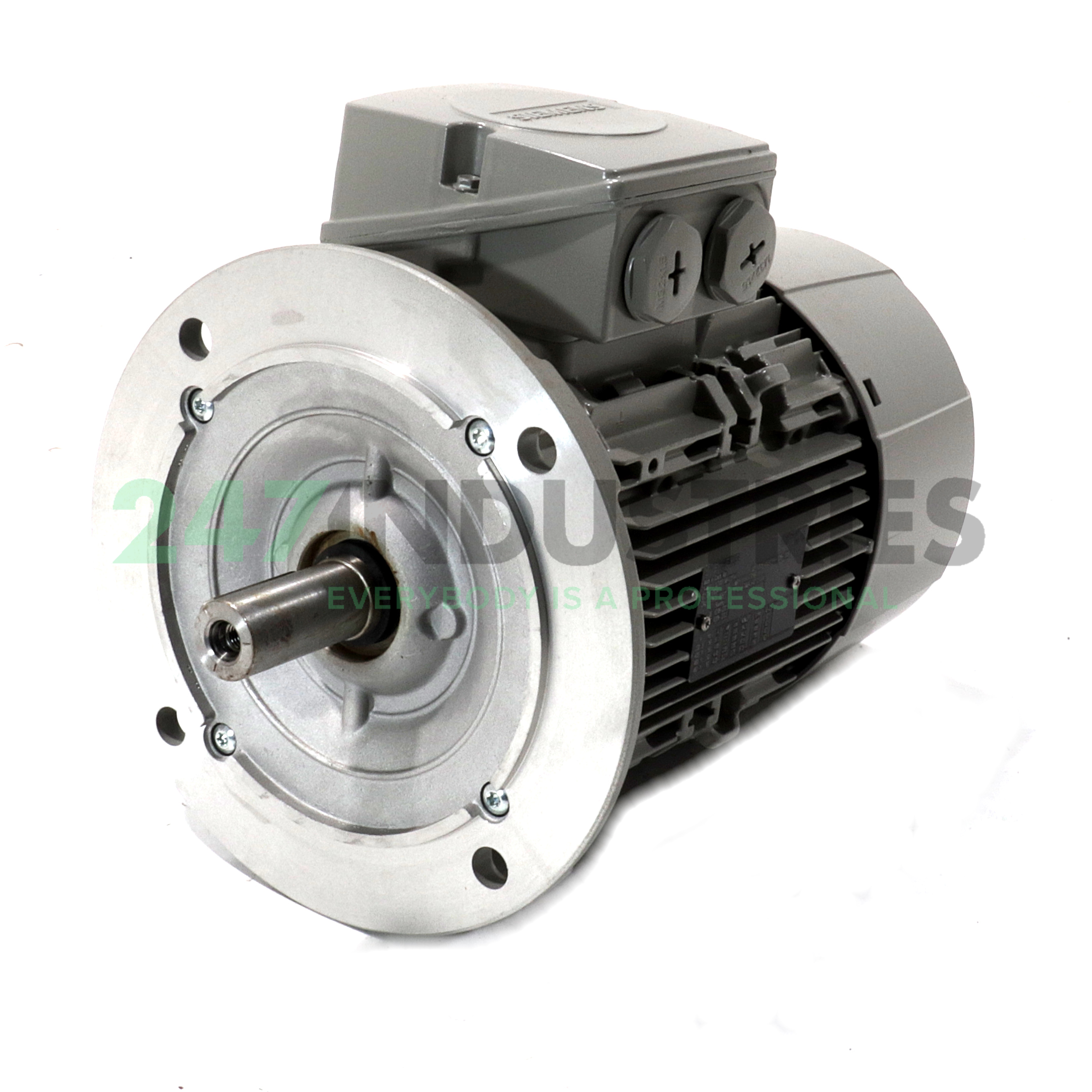 1LE1001-1AB42-2FA4 Siemens