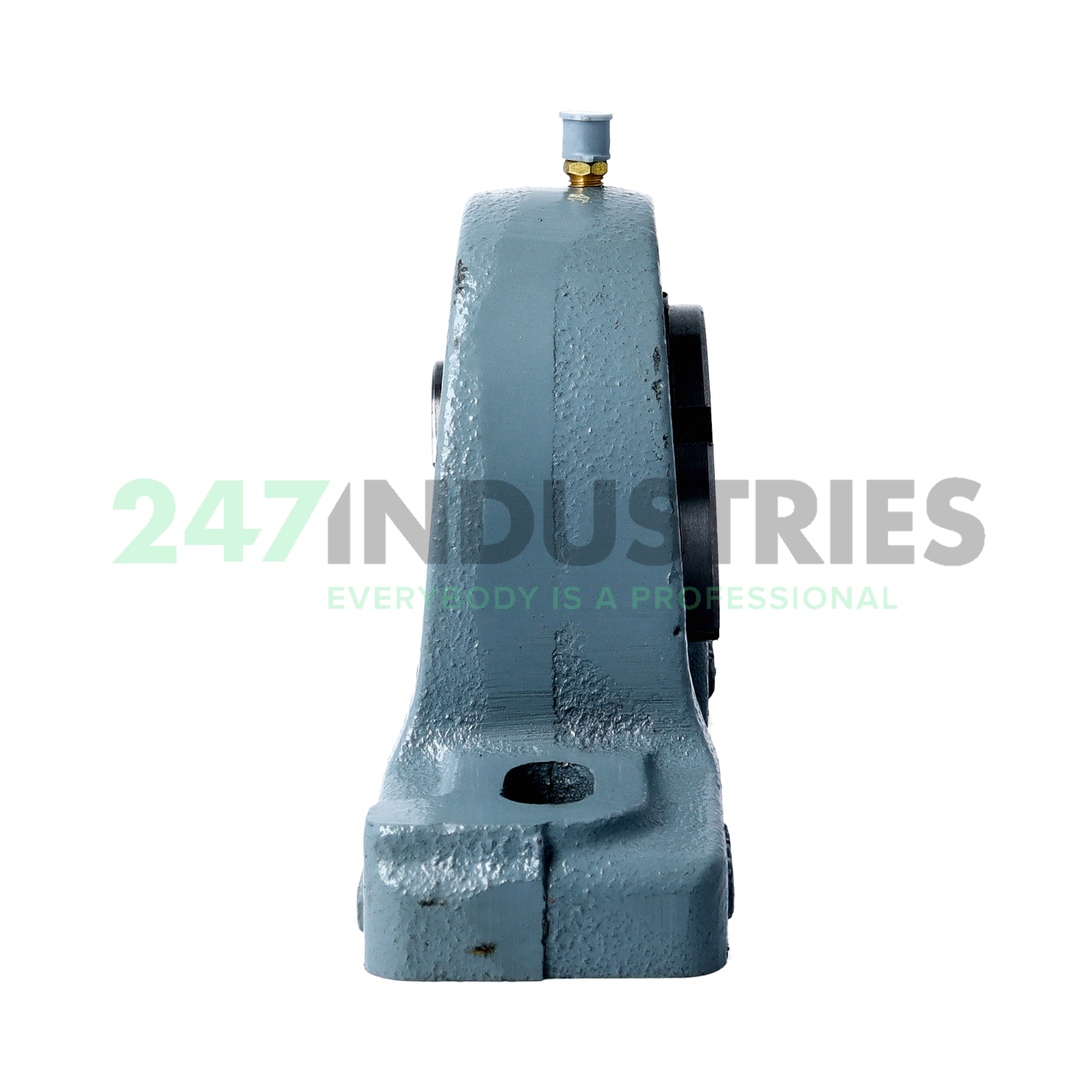 UKAP208+H Asahi Image 2