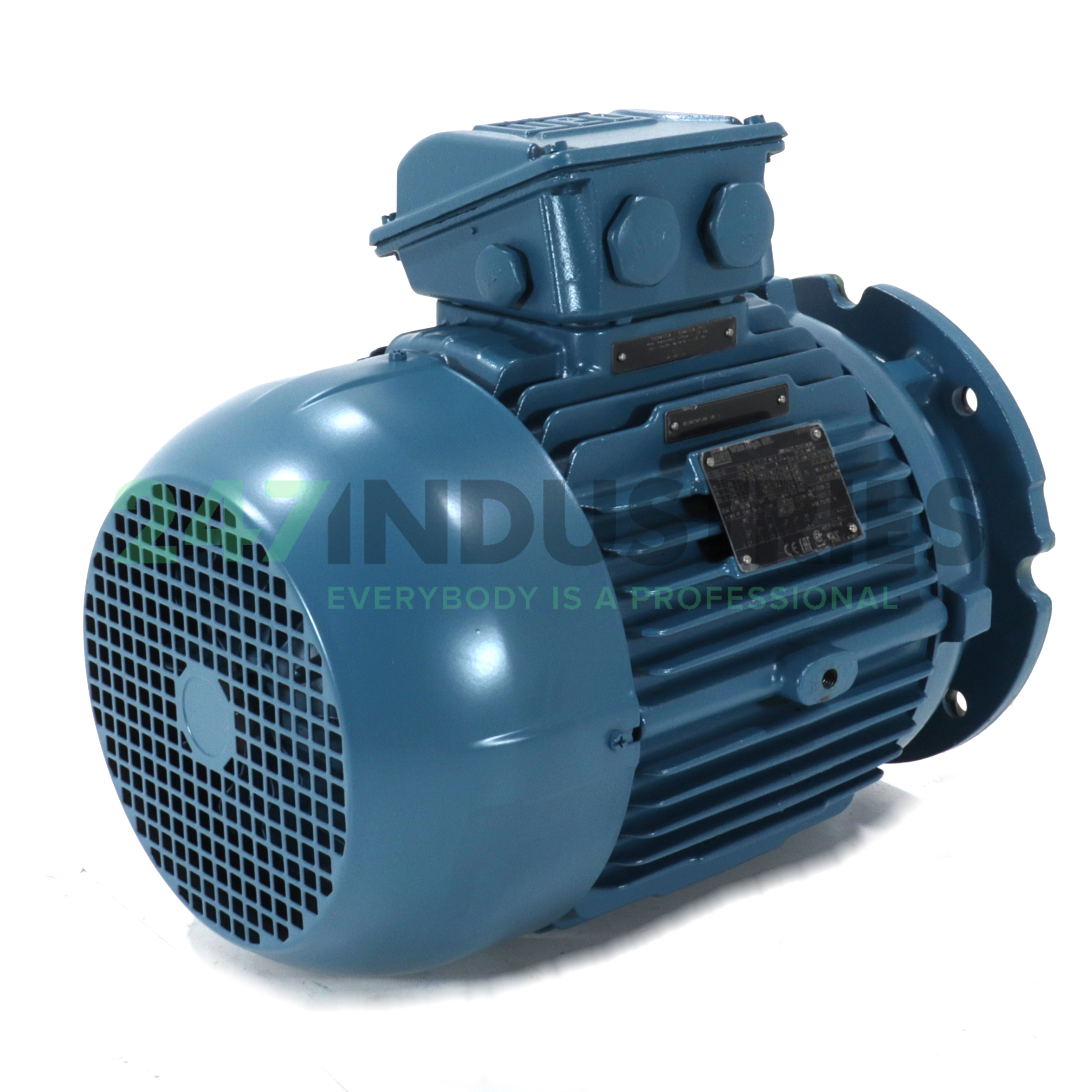 5.5K31CI1132S2B5 WEG Image 3