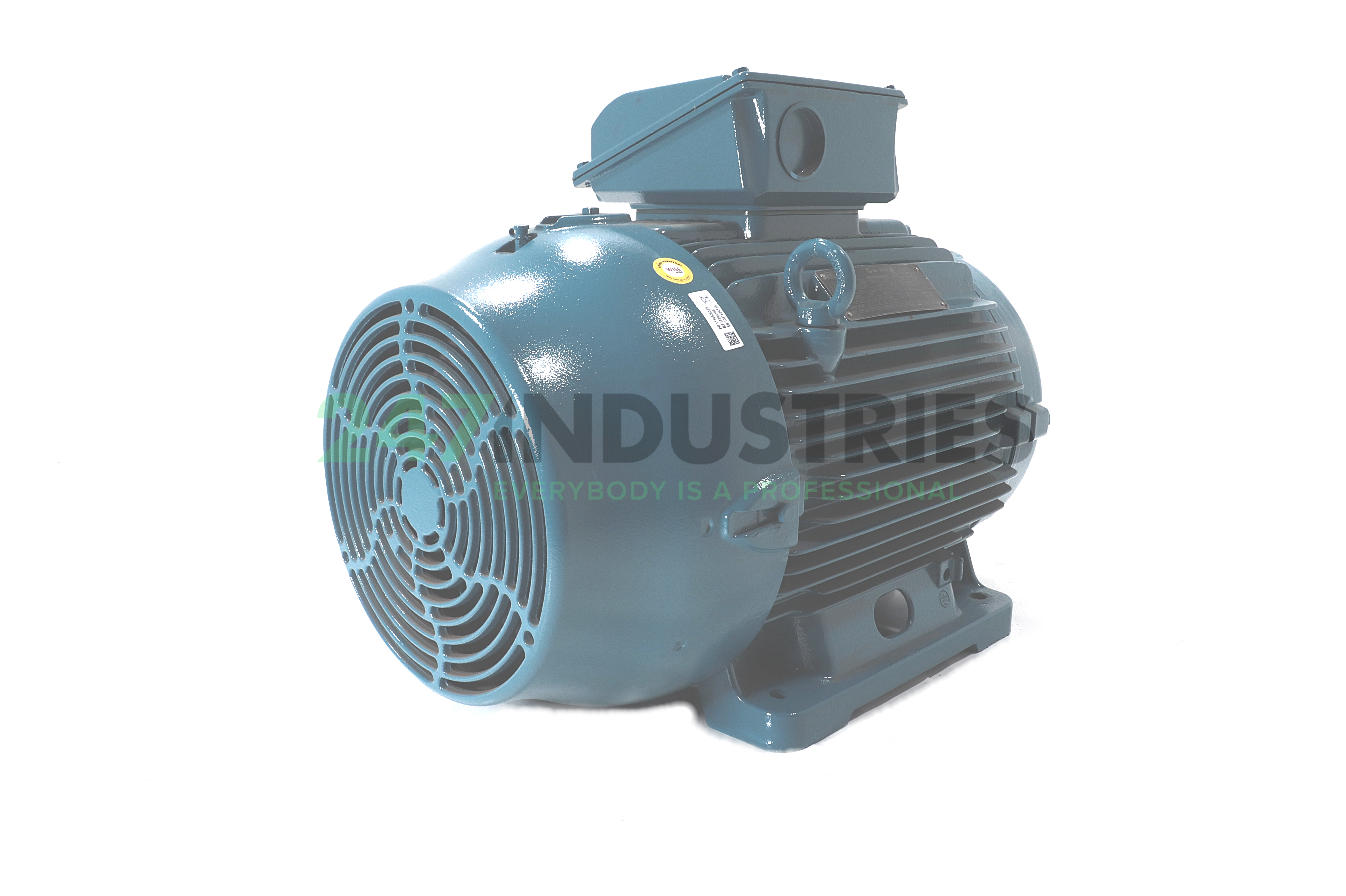 30K34CI3326T4-WEG WEG Image 3