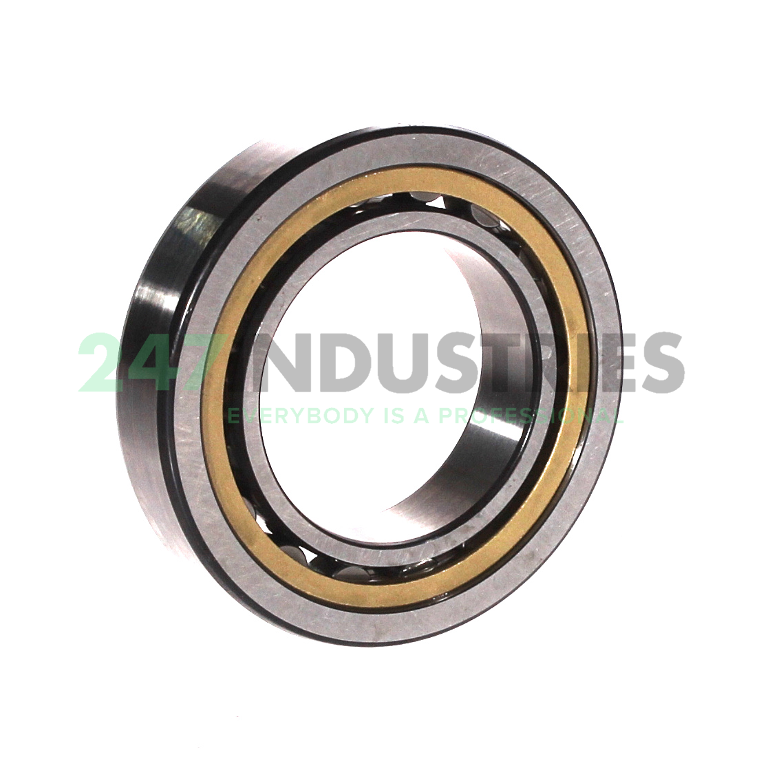 NU1008MP SKF Image 2