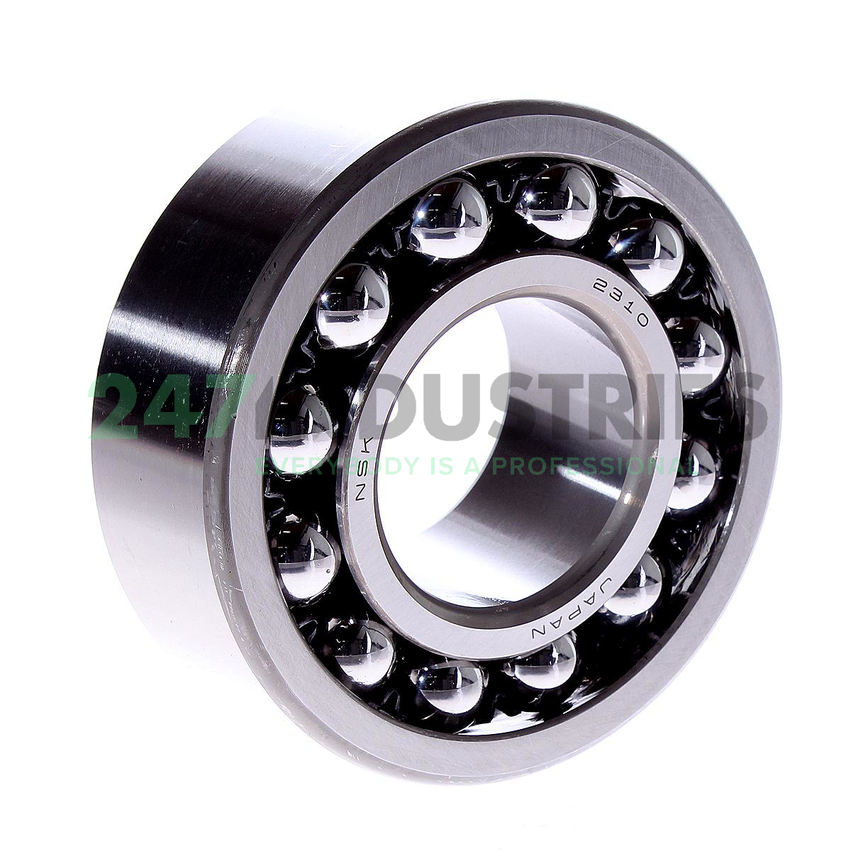 2310 NSK Image 1