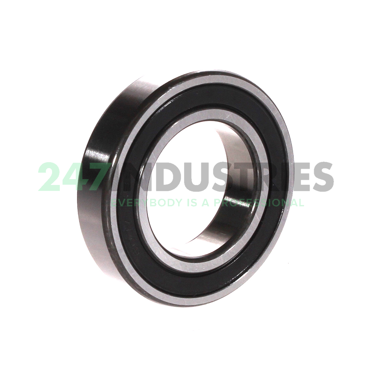 6007-2RSR FAG Image 2