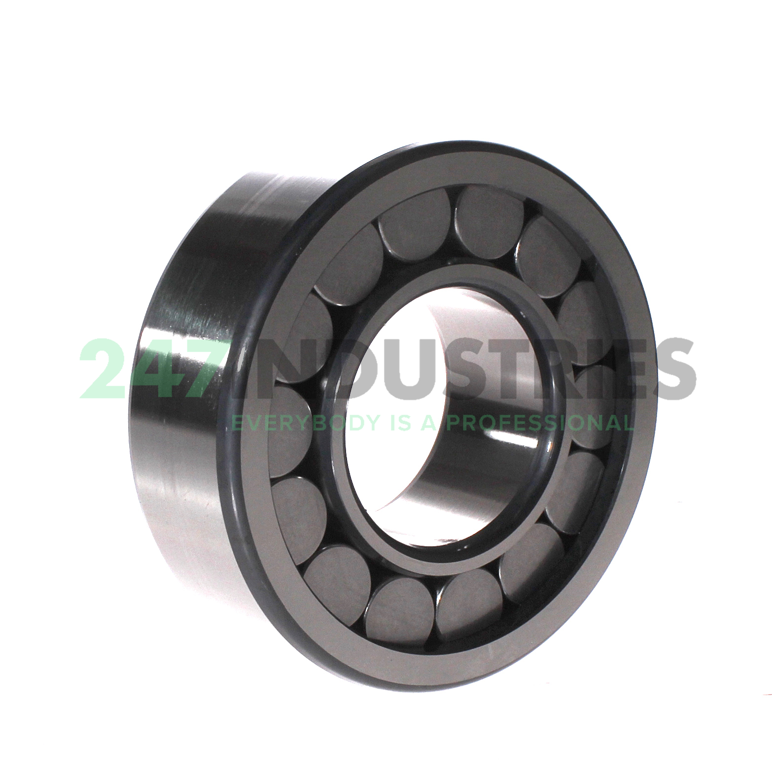 SL192313 INA Image 2