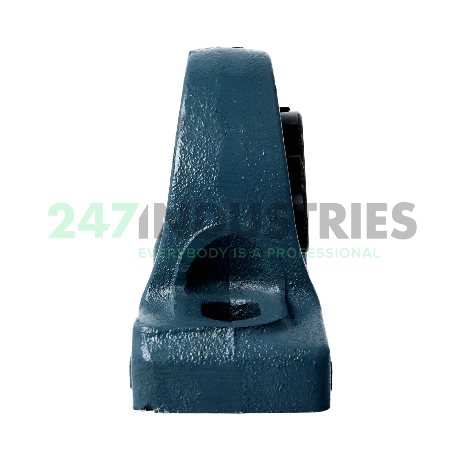 UCPX08-24 Asahi Image 2